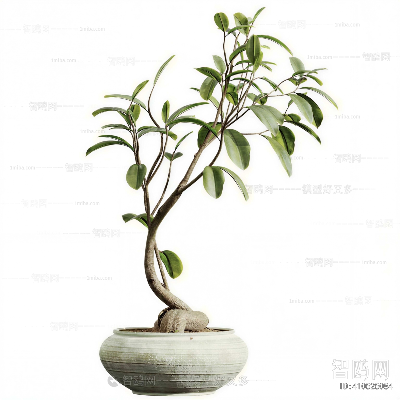 Modern Potted Green Plant