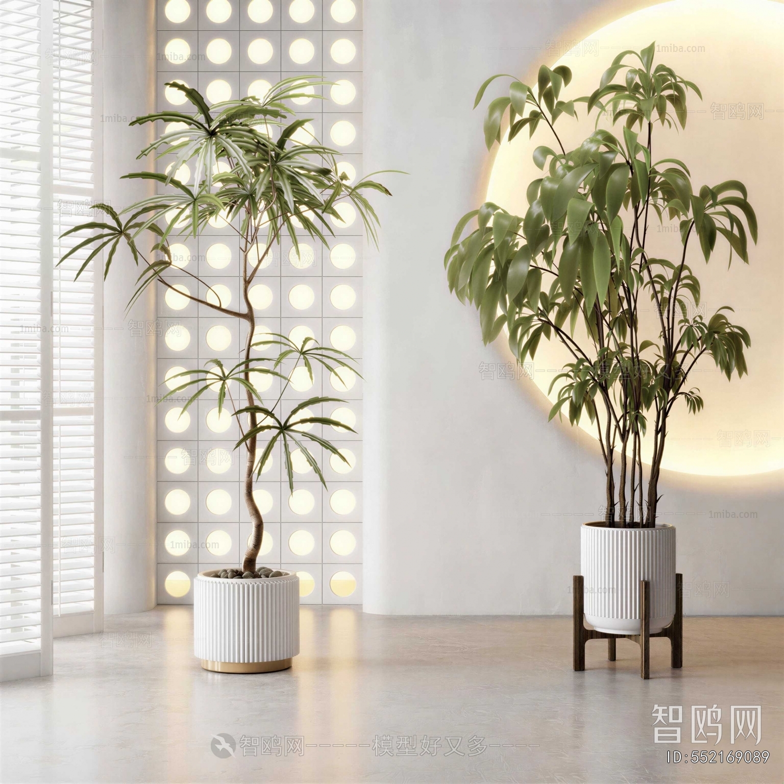 Modern Ground Green Plant Potted Plants