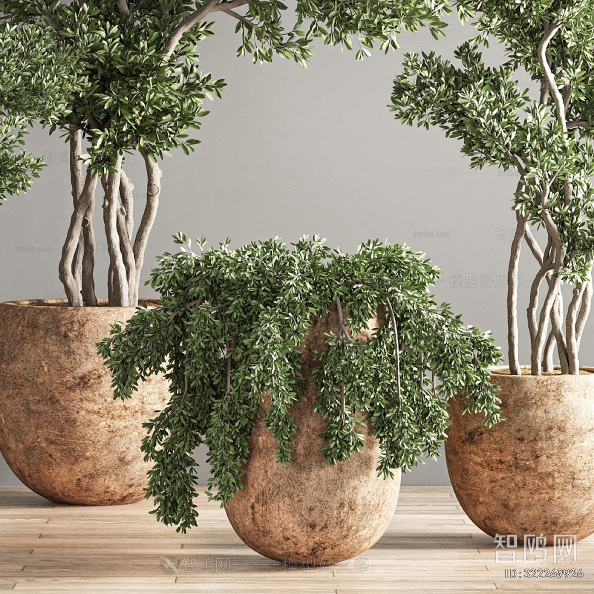 Modern Ground Green Plant Potted Plants