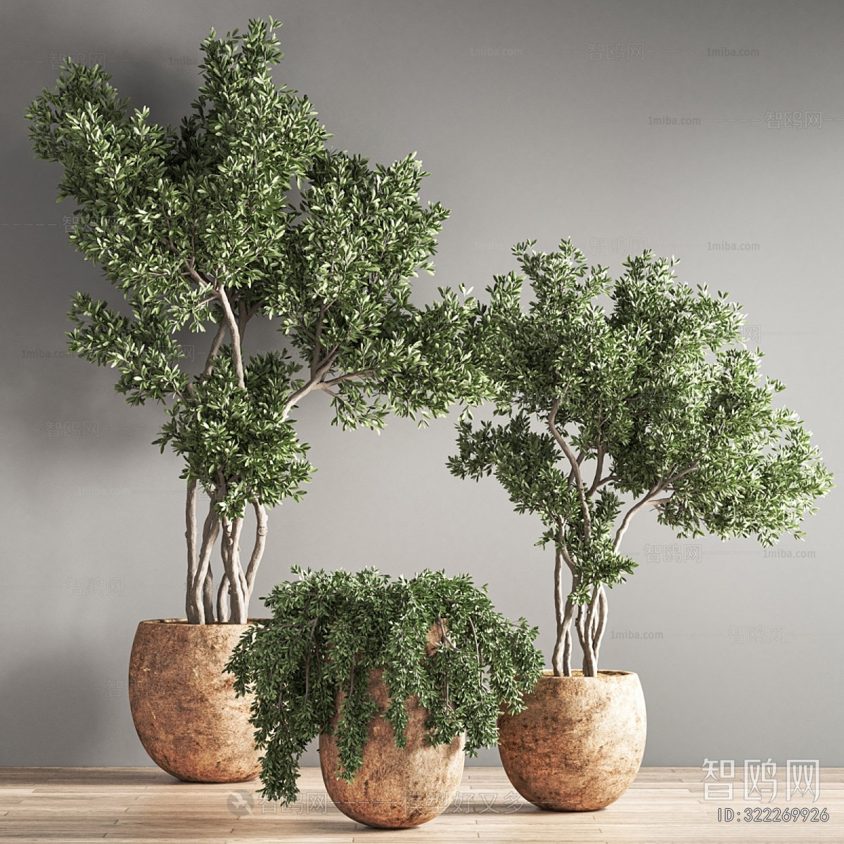 Modern Ground Green Plant Potted Plants