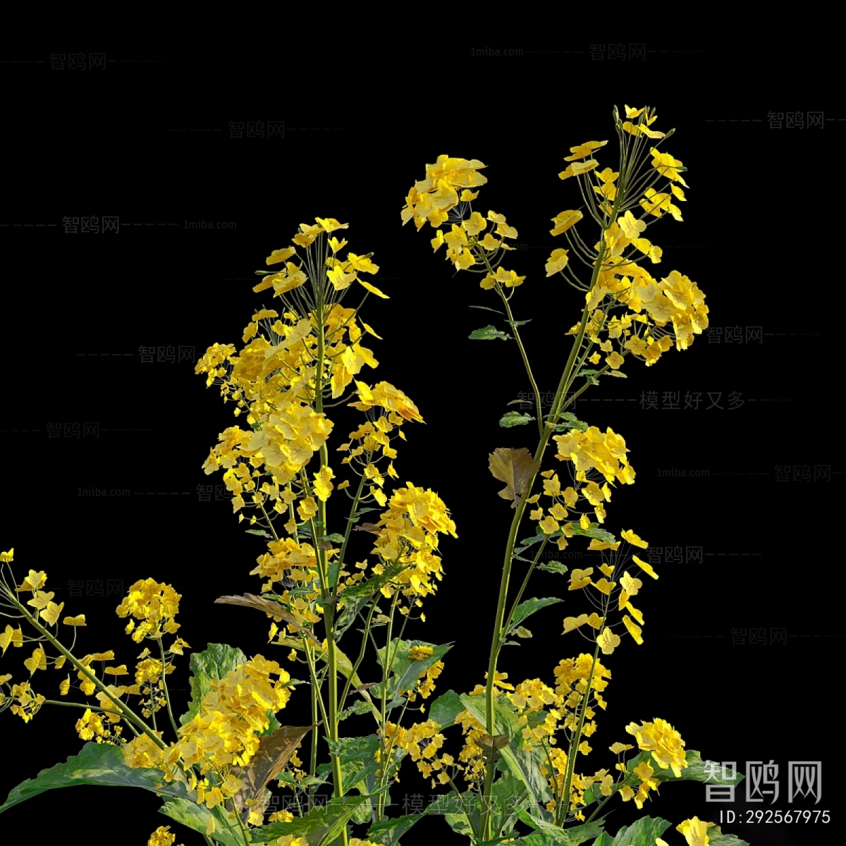 Modern Flowers And Grass