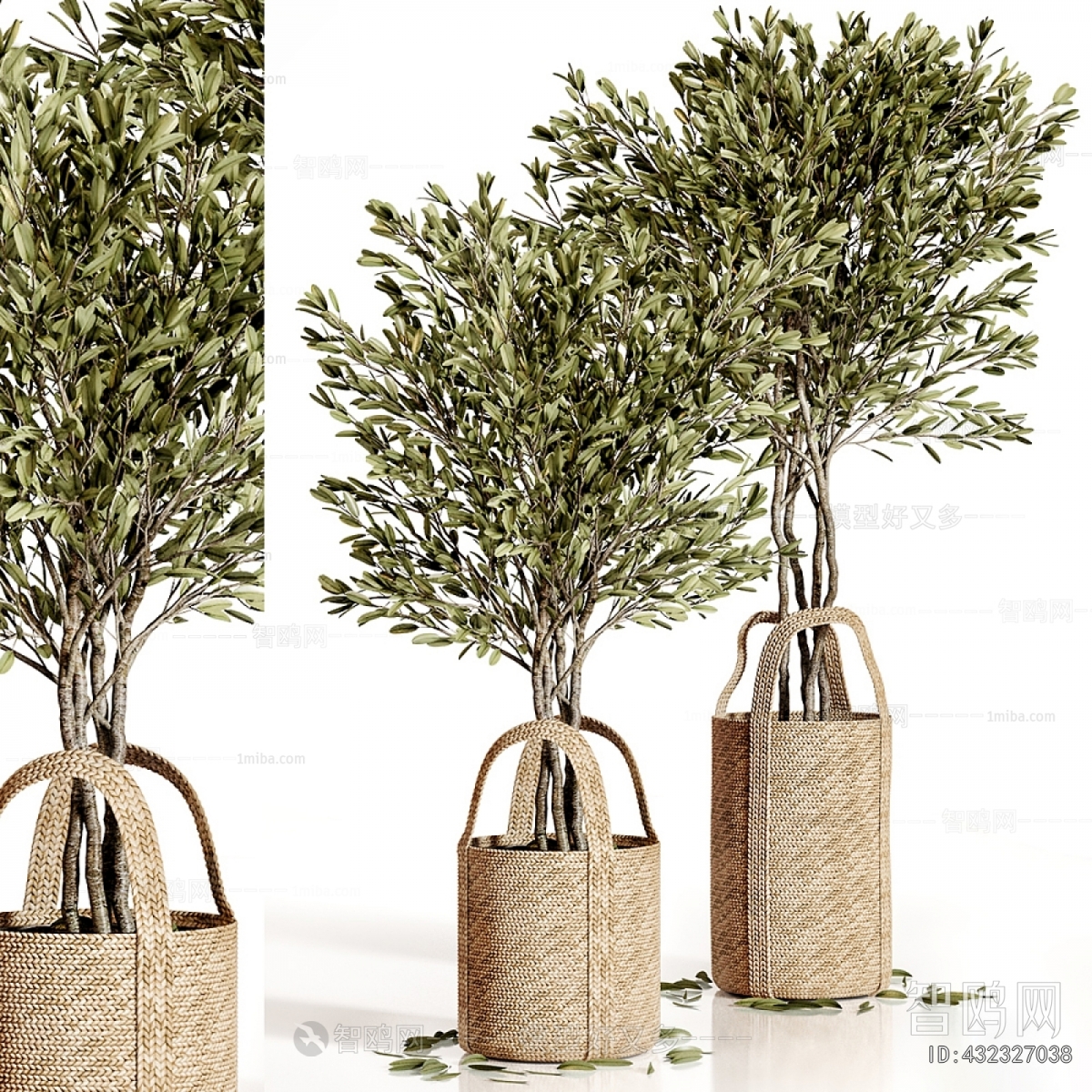 Modern Ground Green Plant Potted Plants