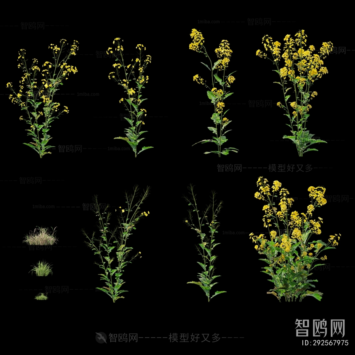 Modern Flowers And Grass