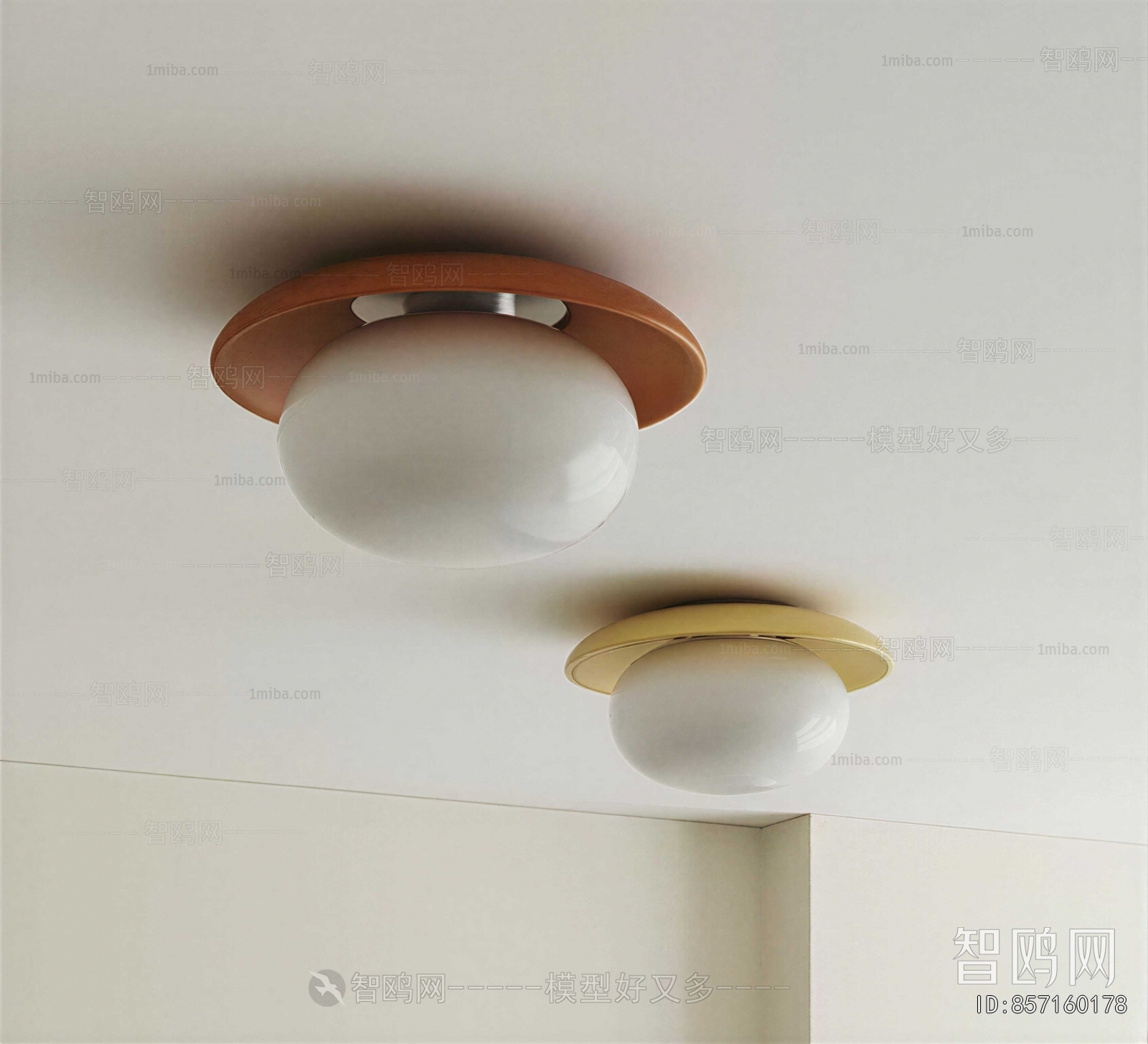 Modern Ceiling Ceiling Lamp