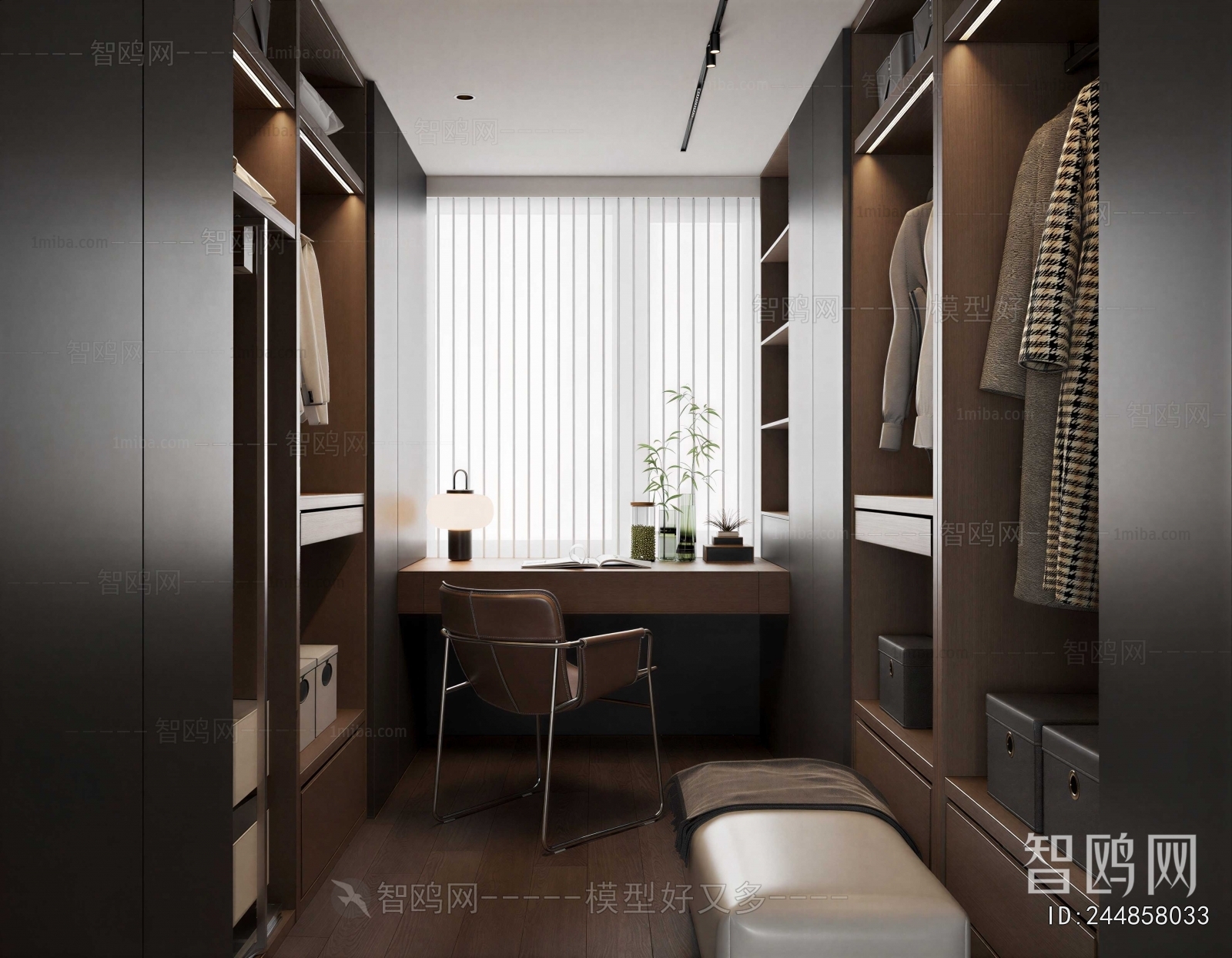 Modern Clothes Storage Area