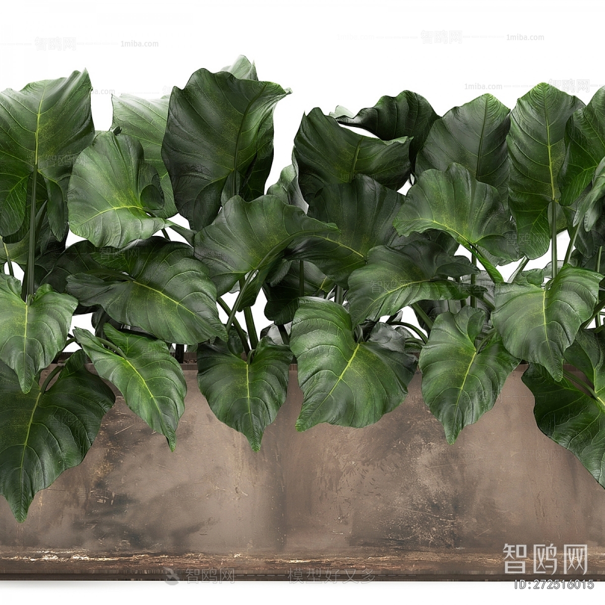 Modern Flower Bed, Flower Bowl, Flower Box