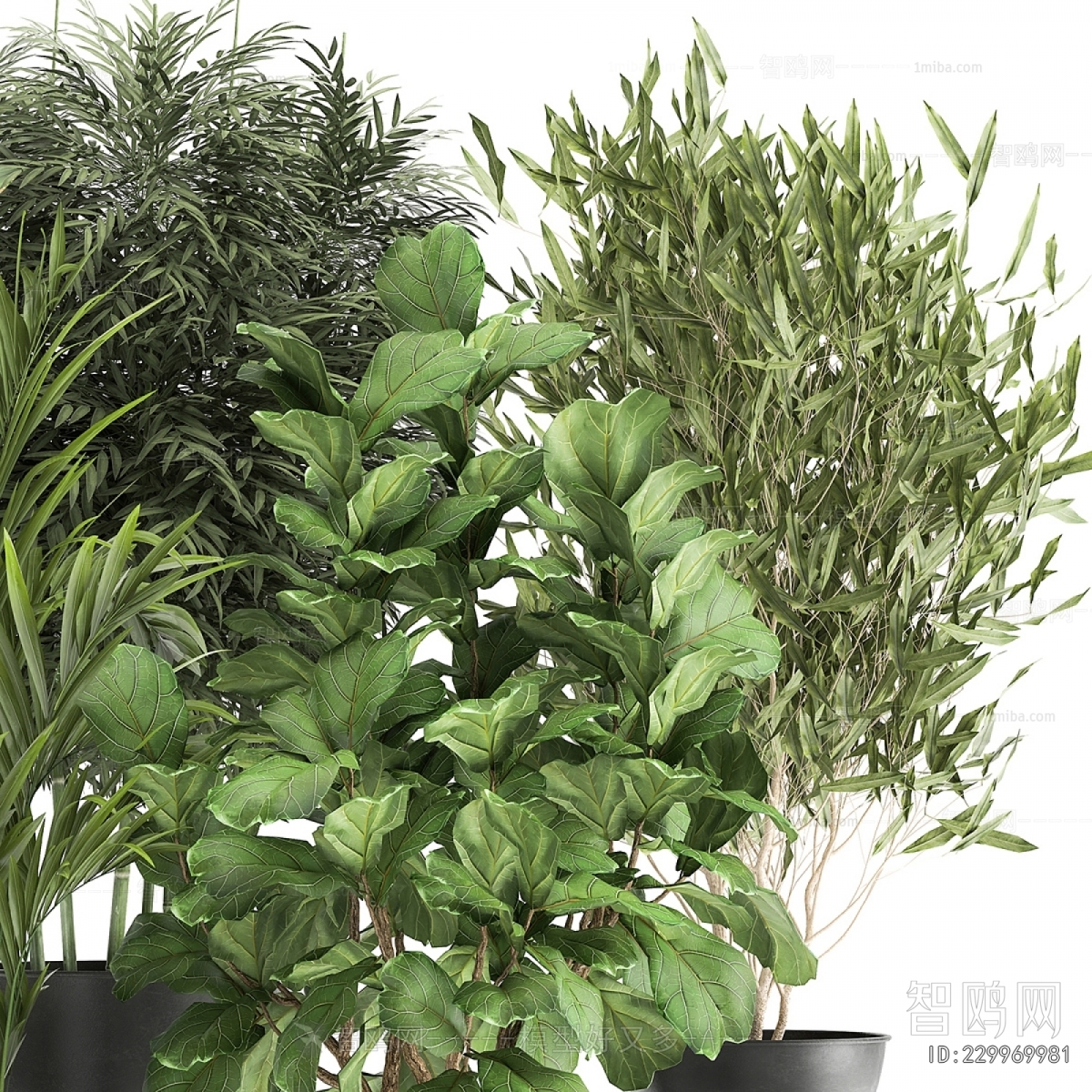 Modern Potted Green Plant