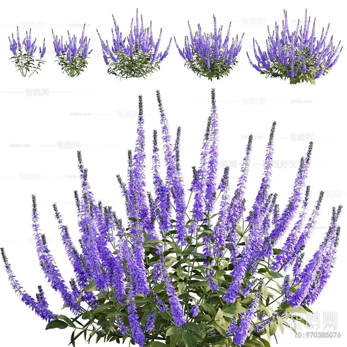 Modern Flowers And Grass