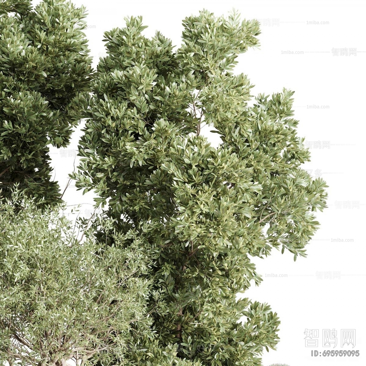 Modern Ground Green Plant Potted Plants