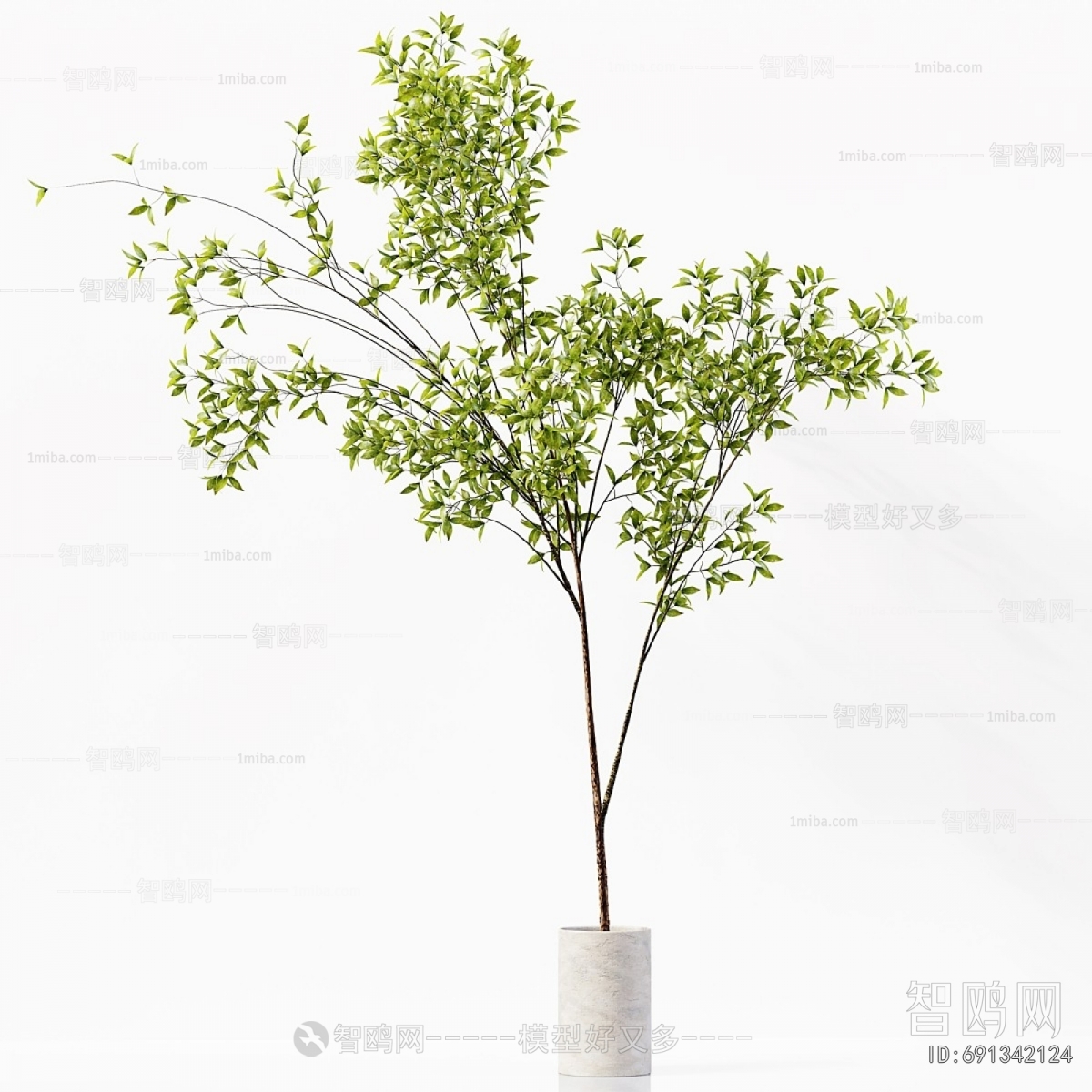 Modern Ground Green Plant Potted Plants