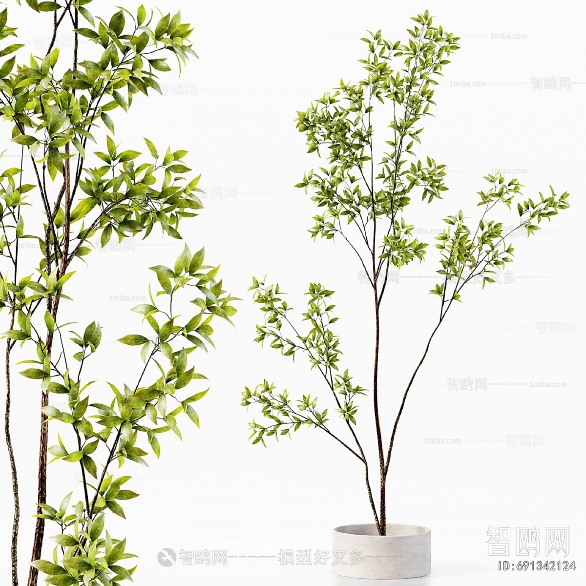 Modern Ground Green Plant Potted Plants