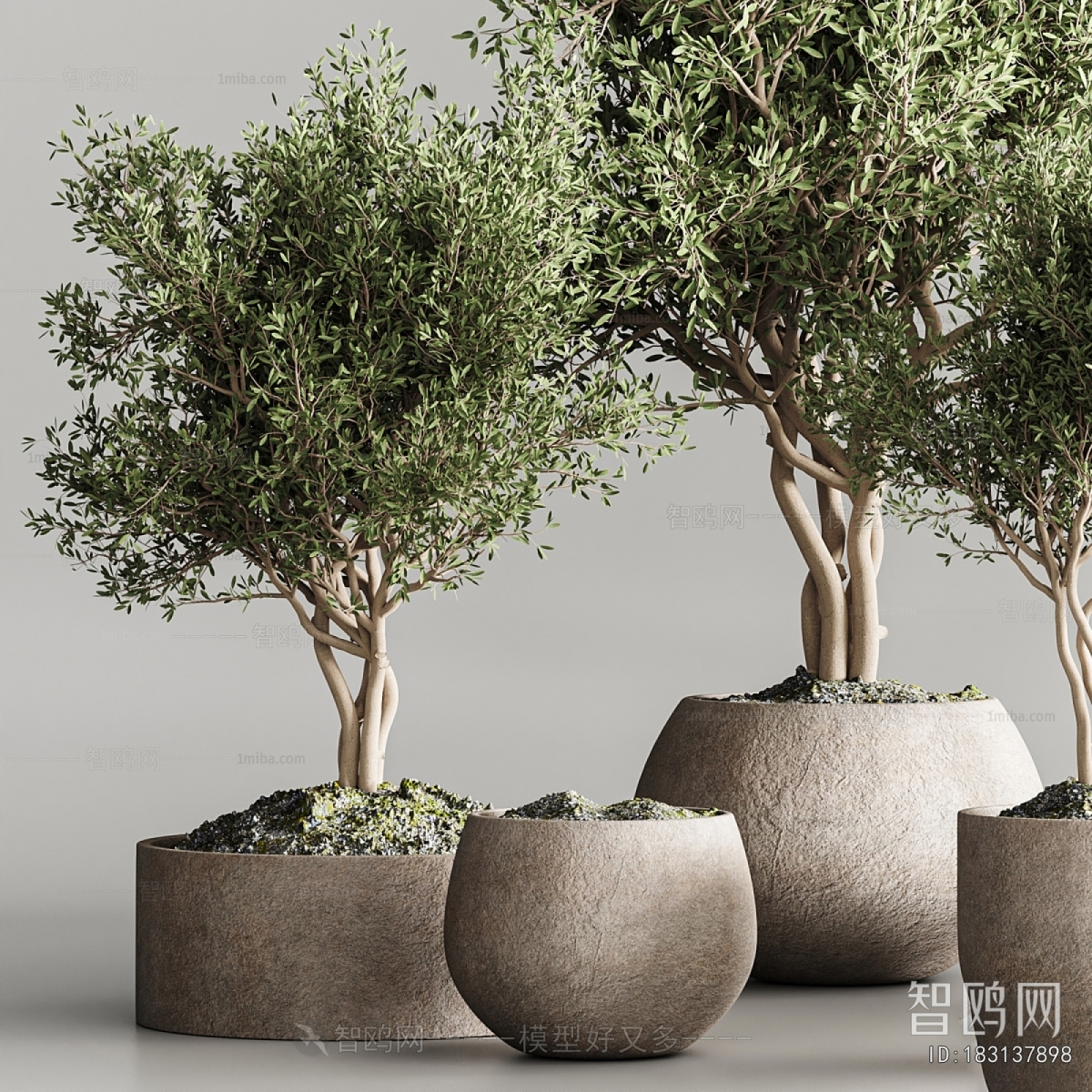 Modern Ground Green Plant Potted Plants
