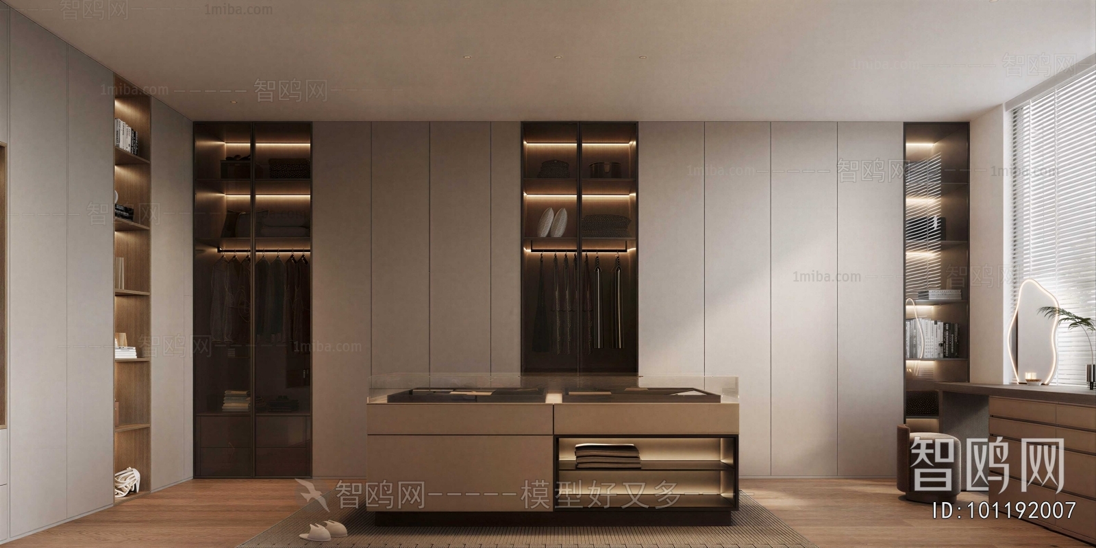 Modern Clothes Storage Area