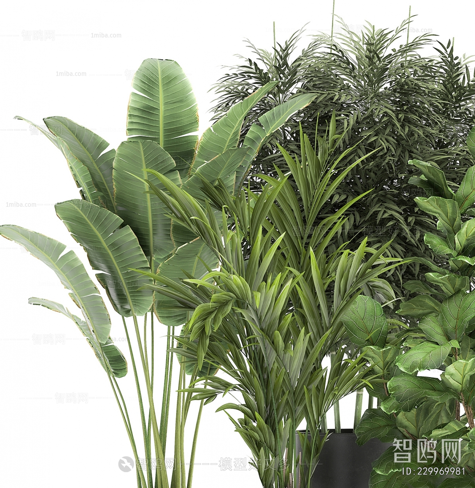 Modern Potted Green Plant