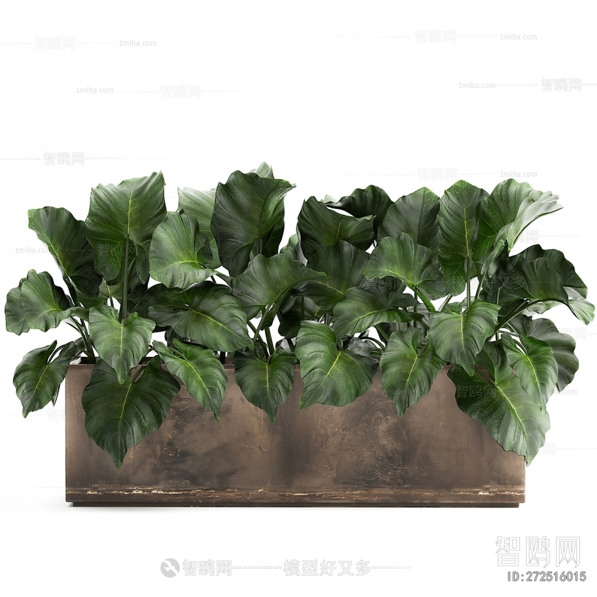 Modern Flower Bed, Flower Bowl, Flower Box