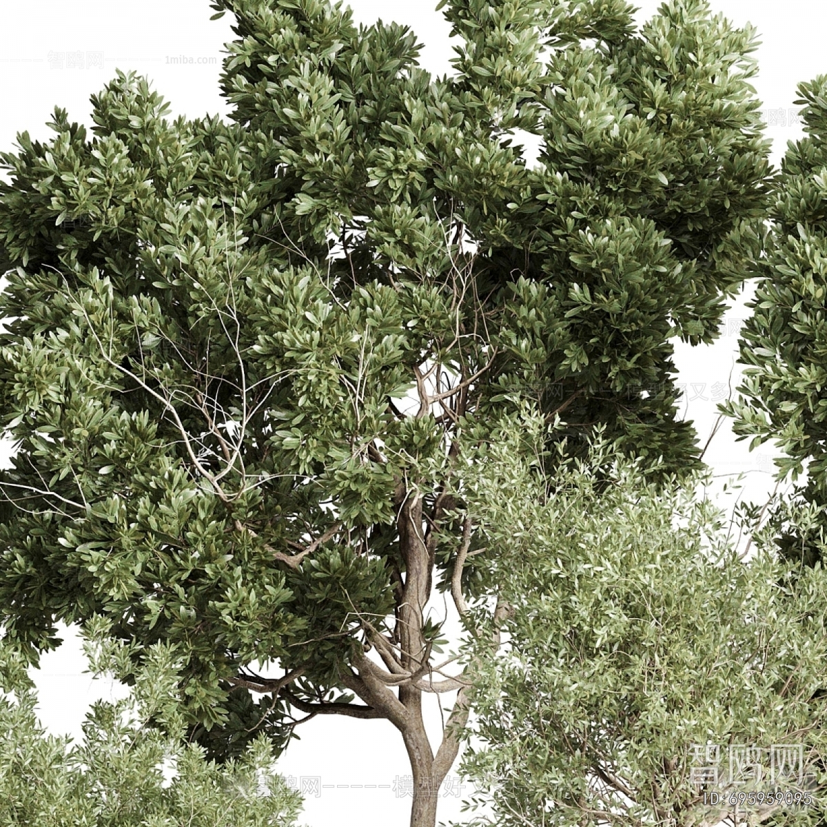 Modern Ground Green Plant Potted Plants