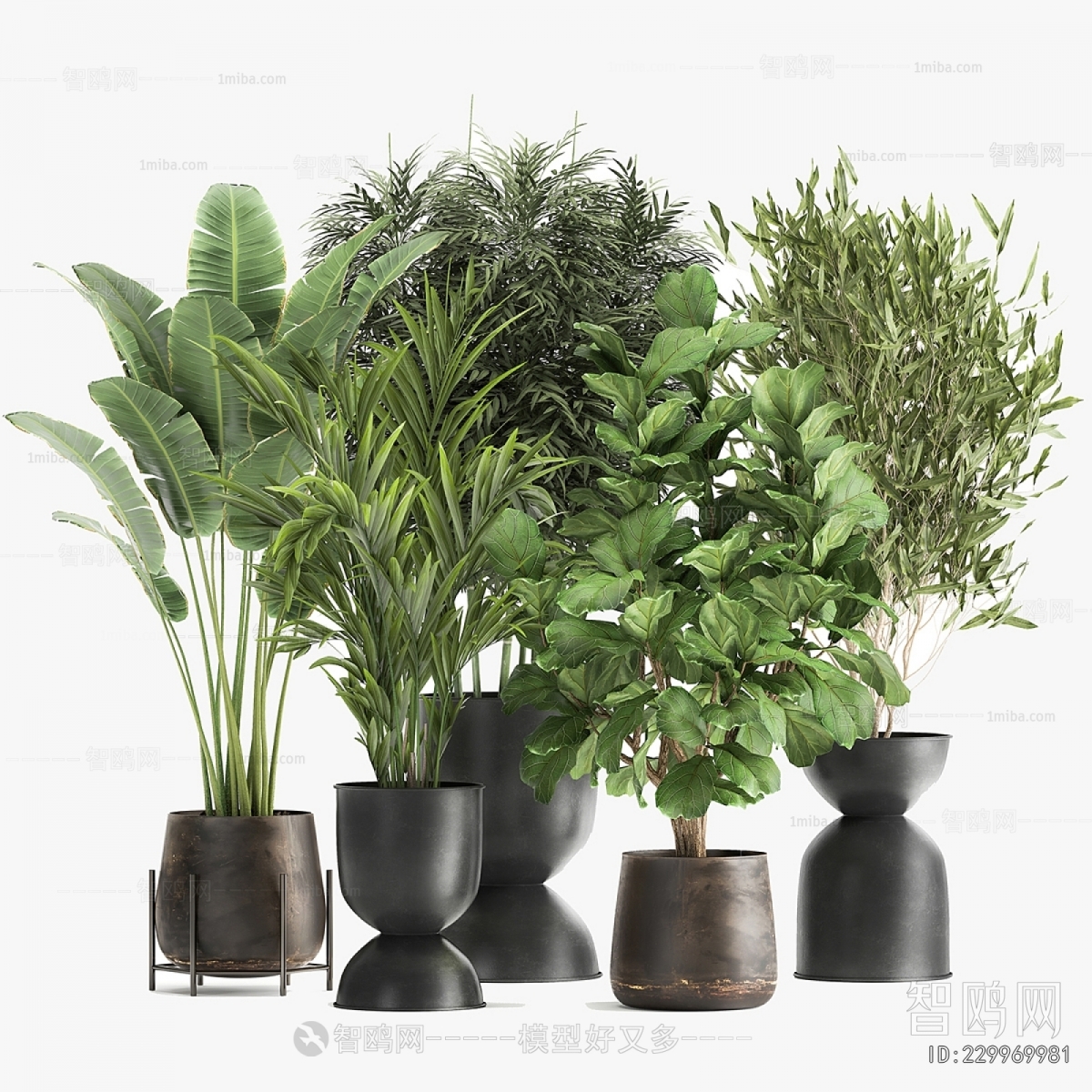 Modern Potted Green Plant