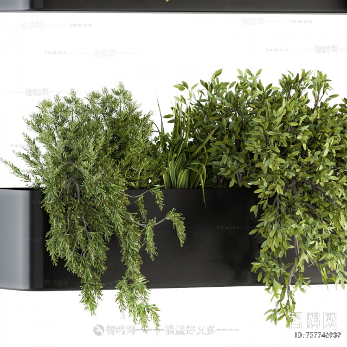 Modern Flower Bed, Flower Bowl, Flower Box