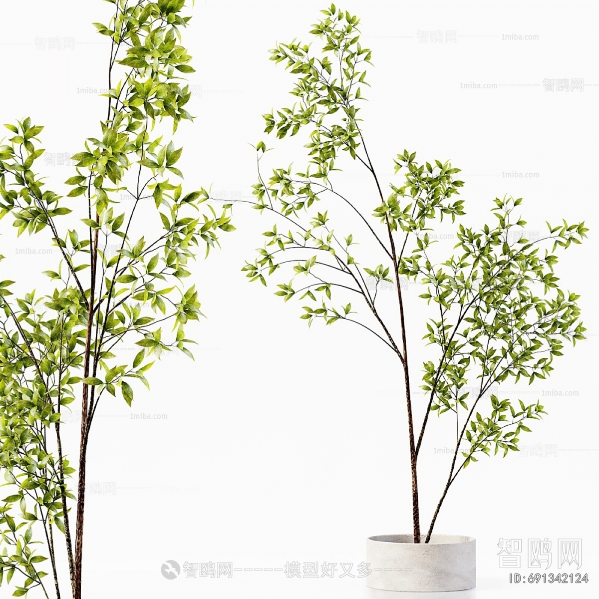 Modern Ground Green Plant Potted Plants