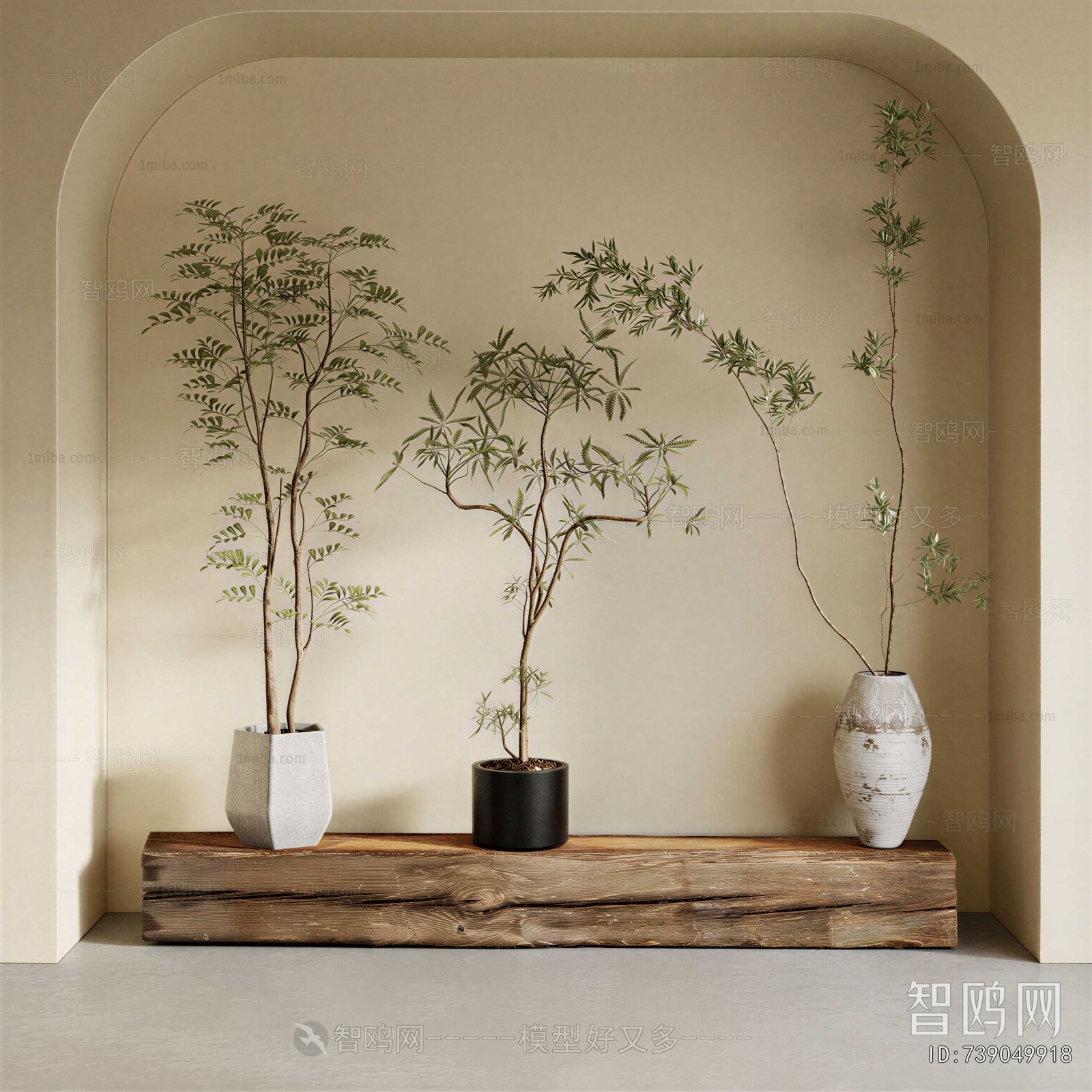 Modern Potted Green Plant