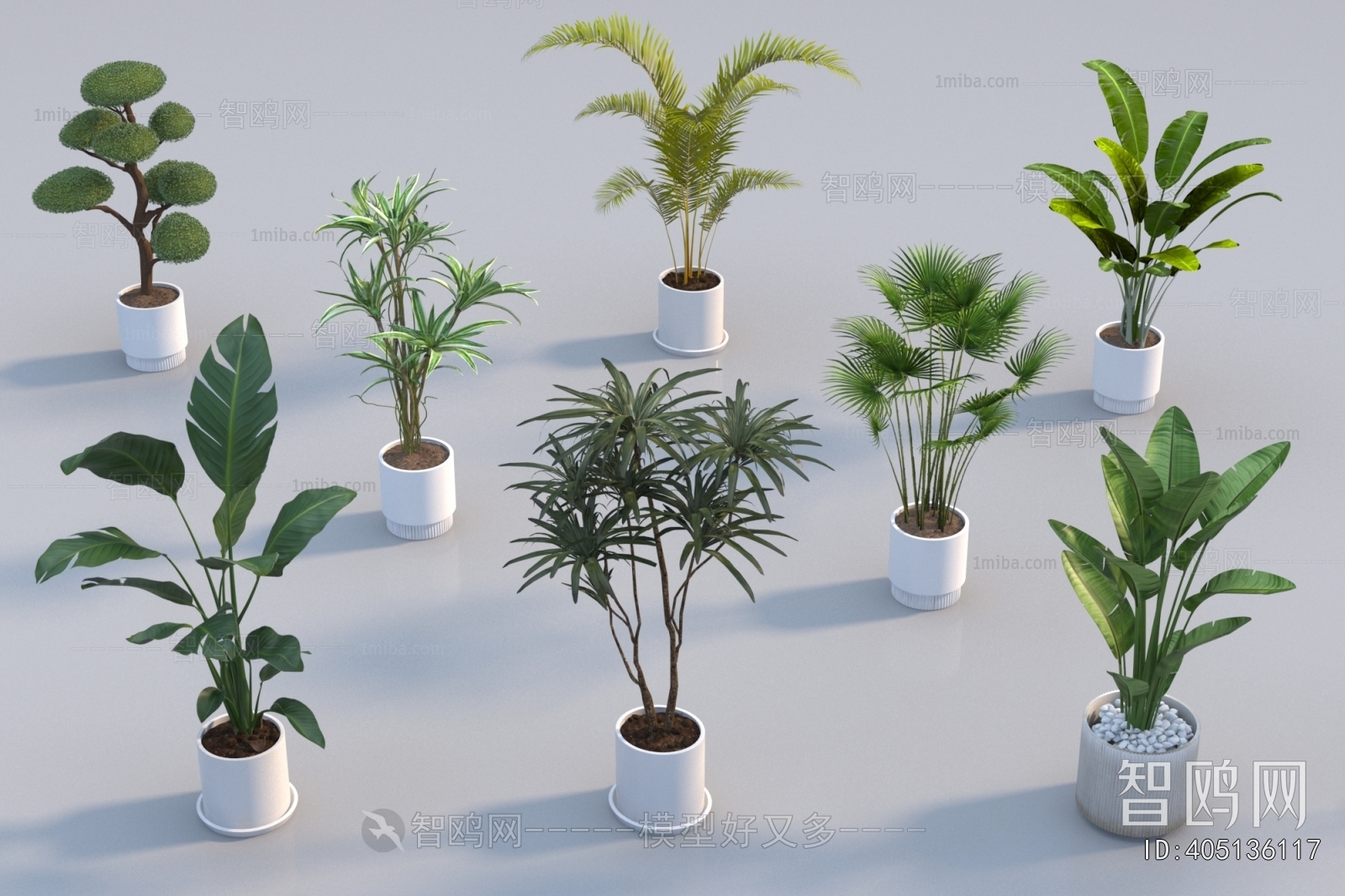Modern Ground Green Plant Potted Plants
