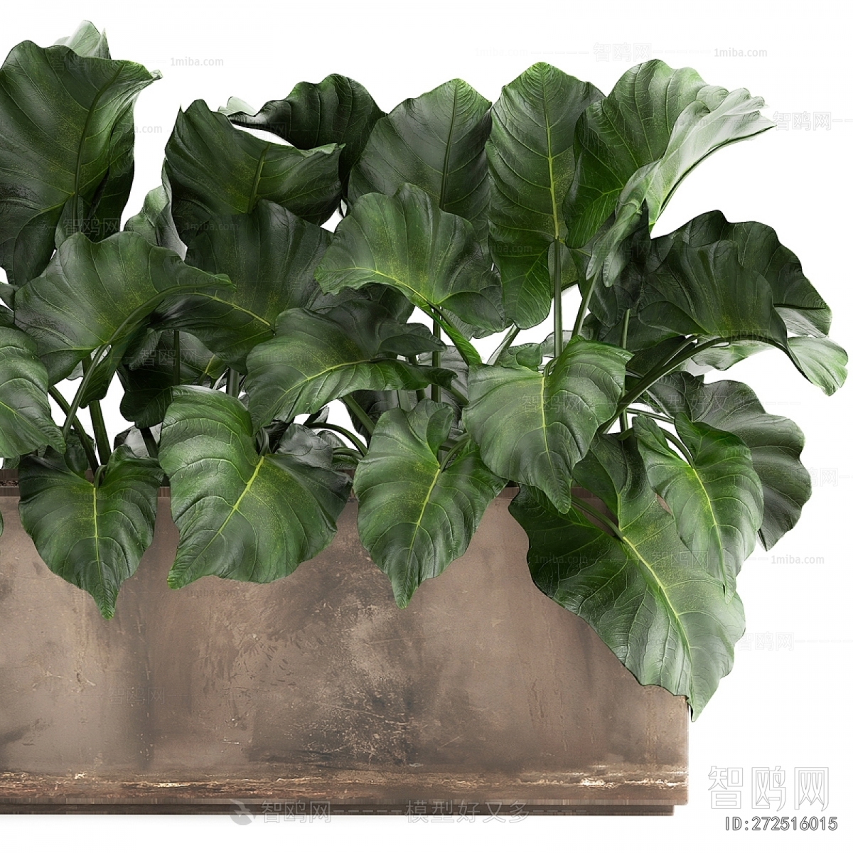 Modern Flower Bed, Flower Bowl, Flower Box