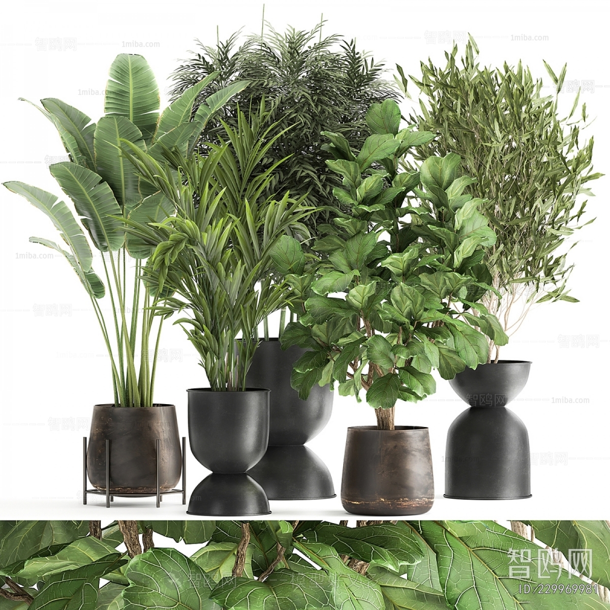 Modern Potted Green Plant