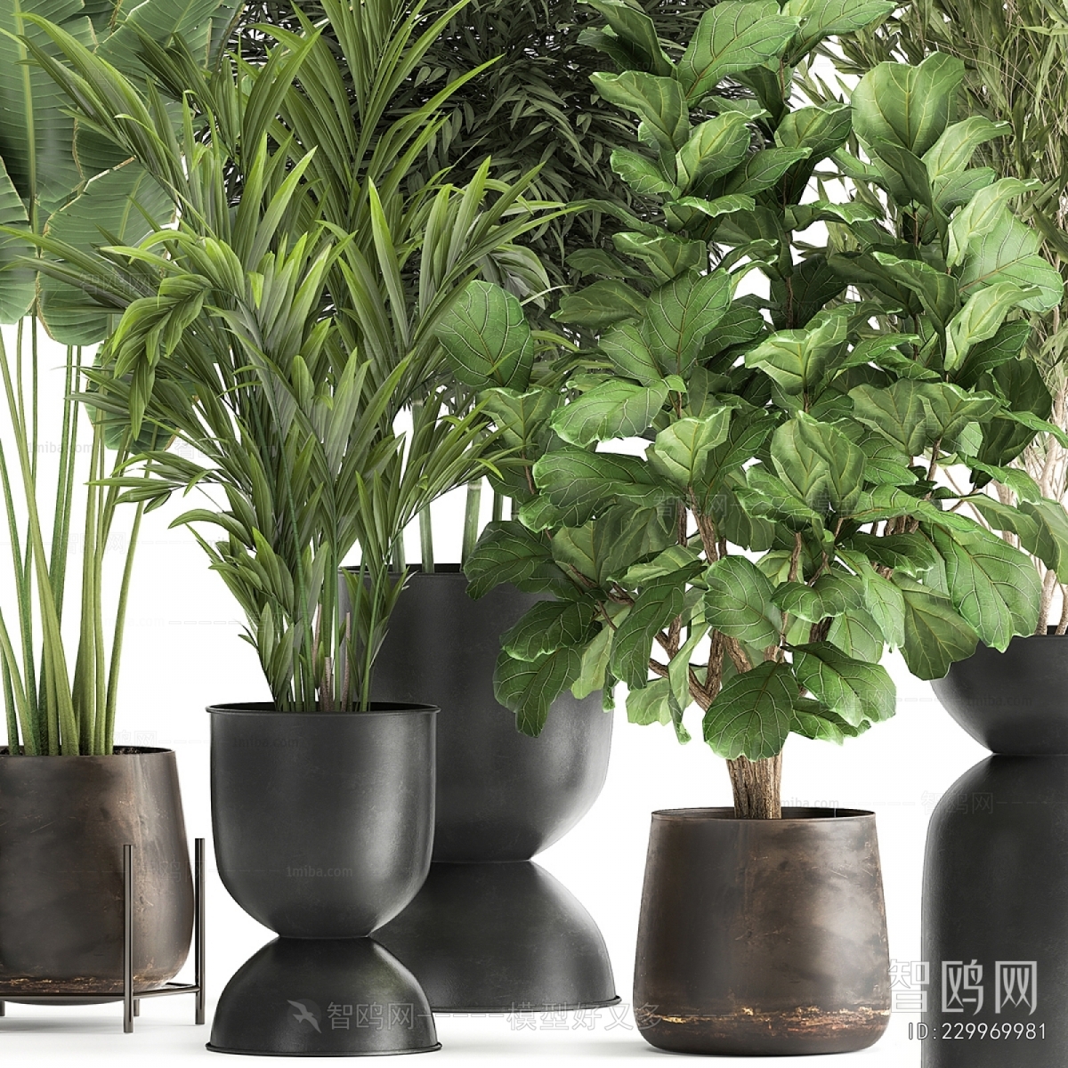 Modern Potted Green Plant