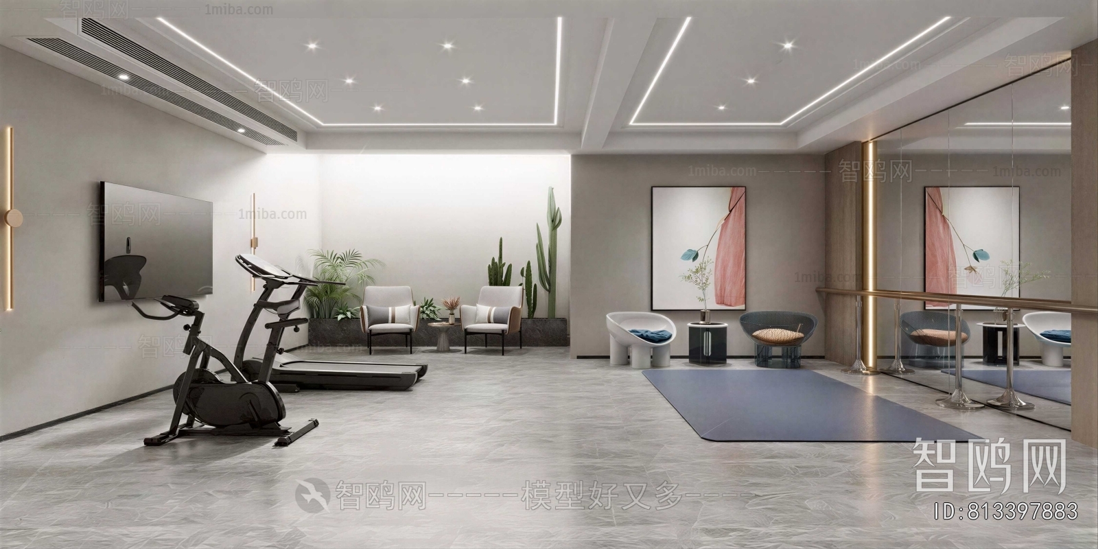 Modern Home Fitness Room