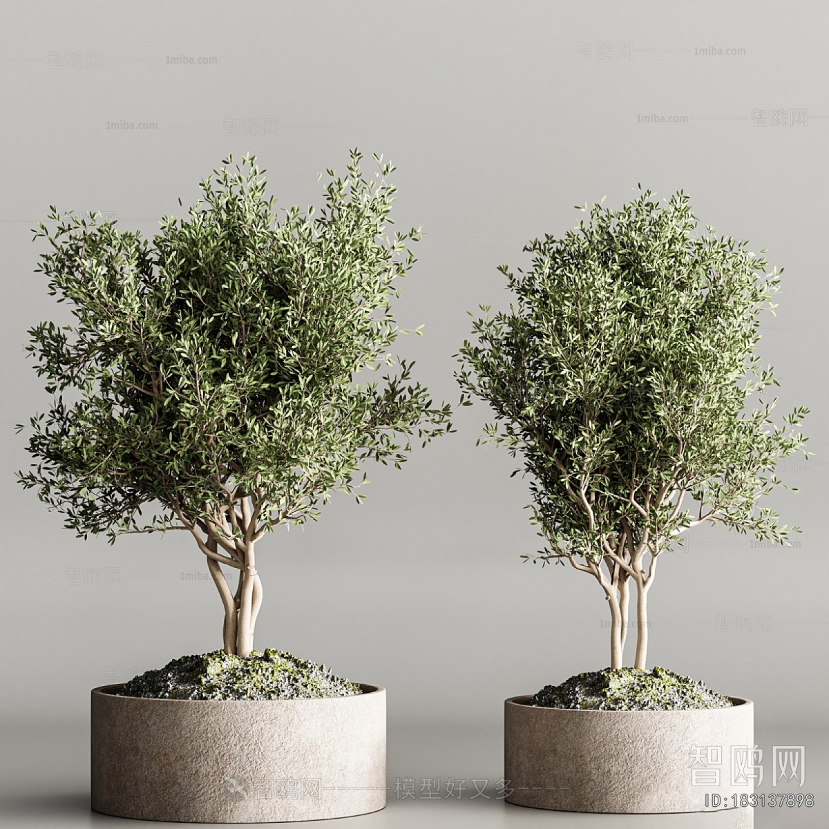 Modern Ground Green Plant Potted Plants