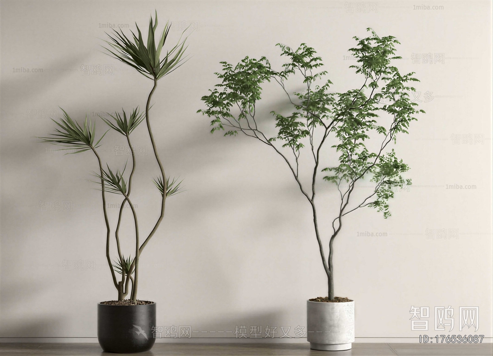 Modern Ground Green Plant Potted Plants
