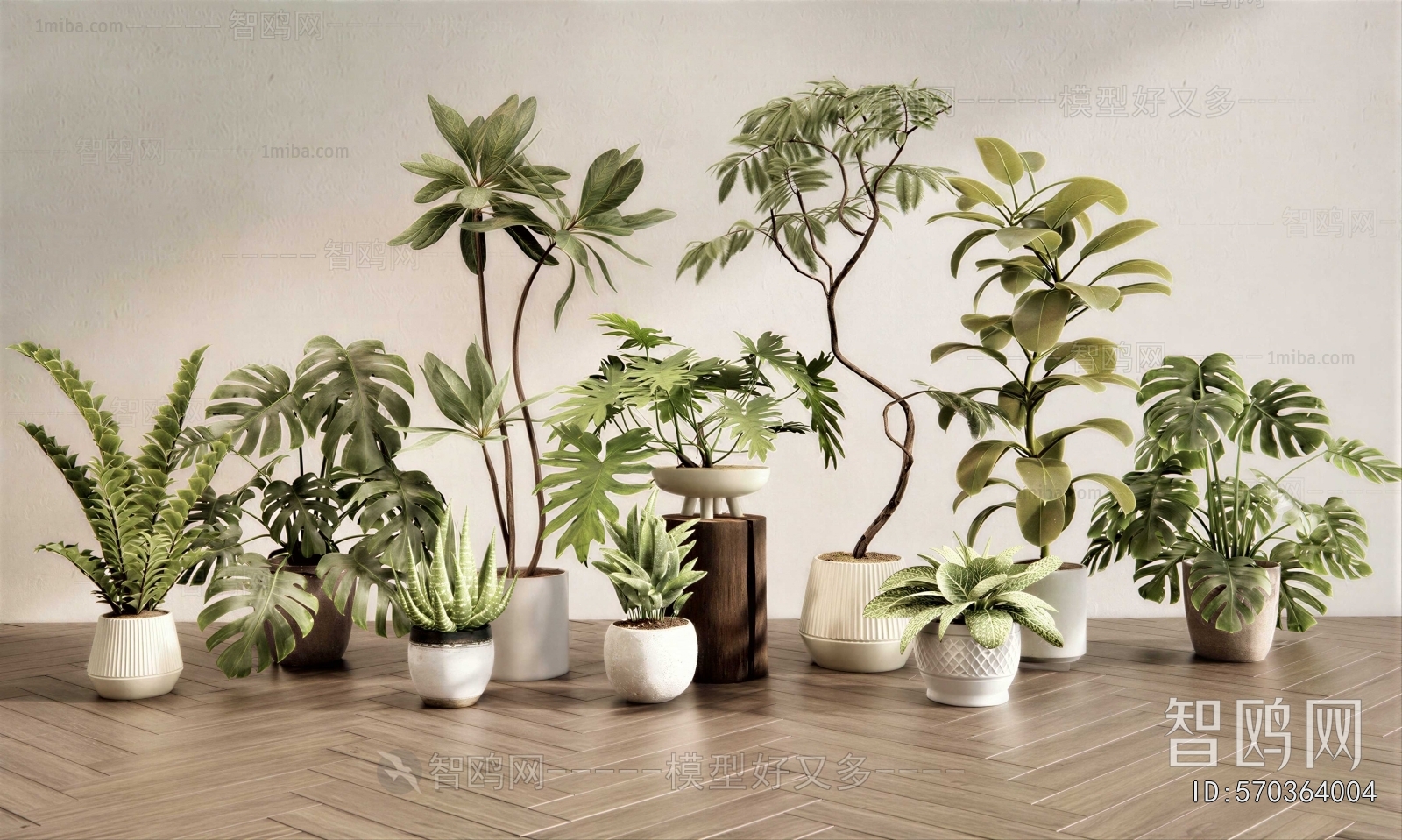 Modern Ground Green Plant Potted Plants
