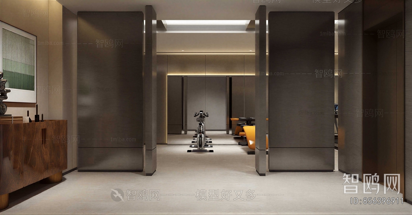 Modern Home Fitness Room