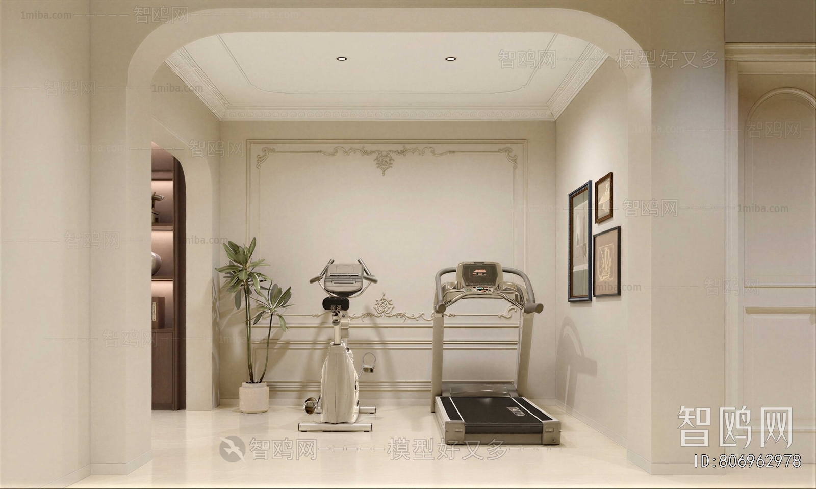 French Style Home Fitness Room