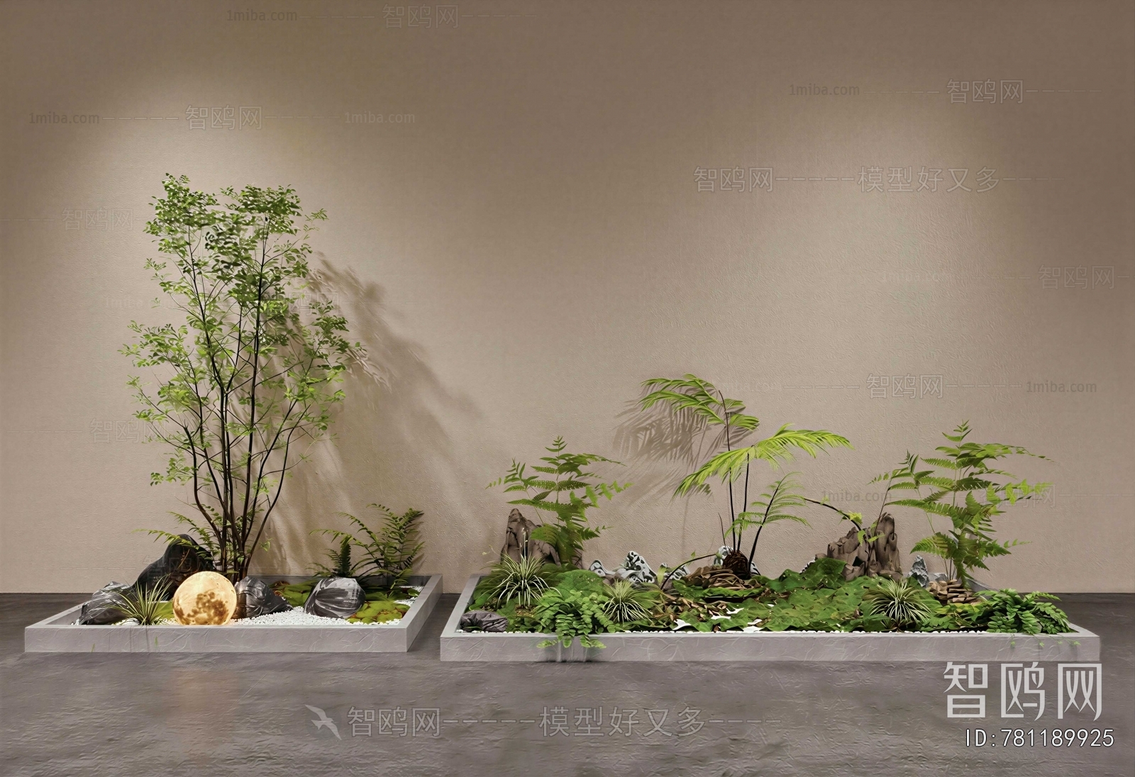 Modern Plant Landscaping