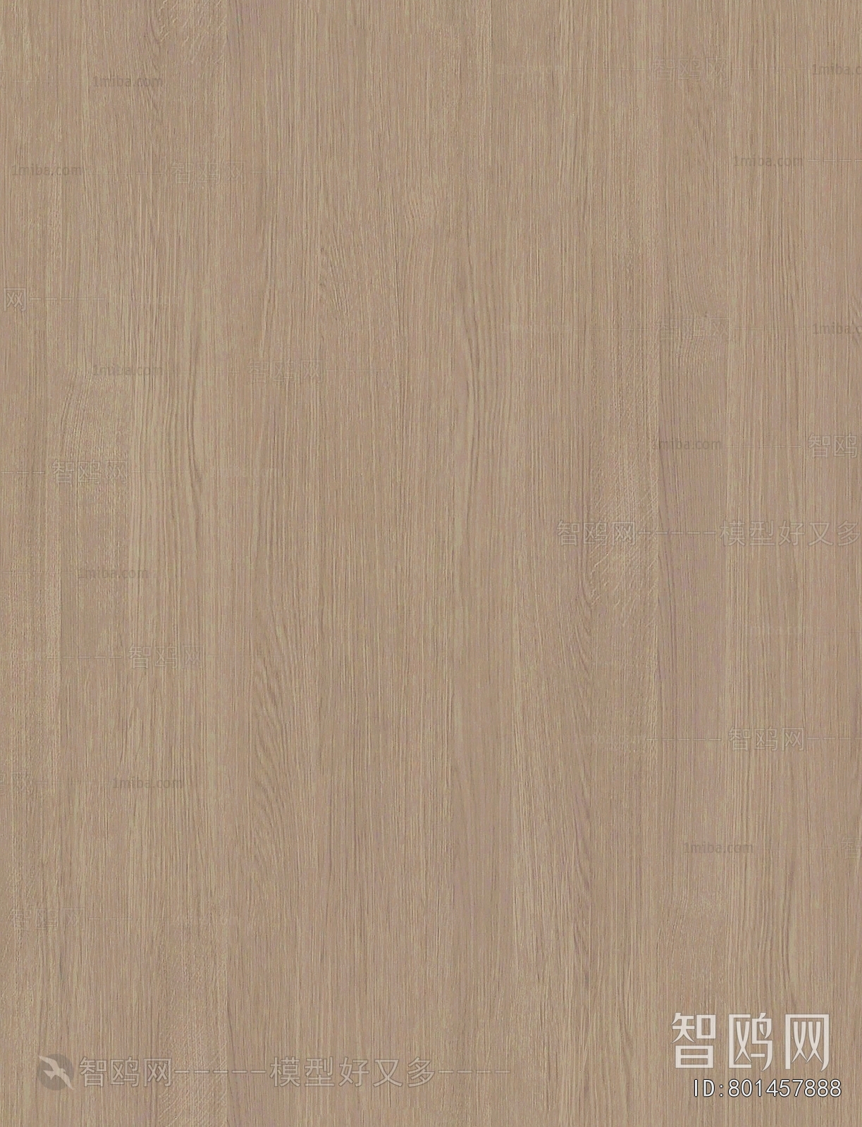 Wood Texture