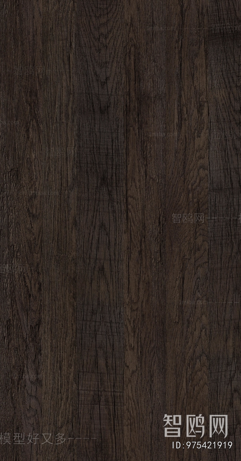 Wood Texture