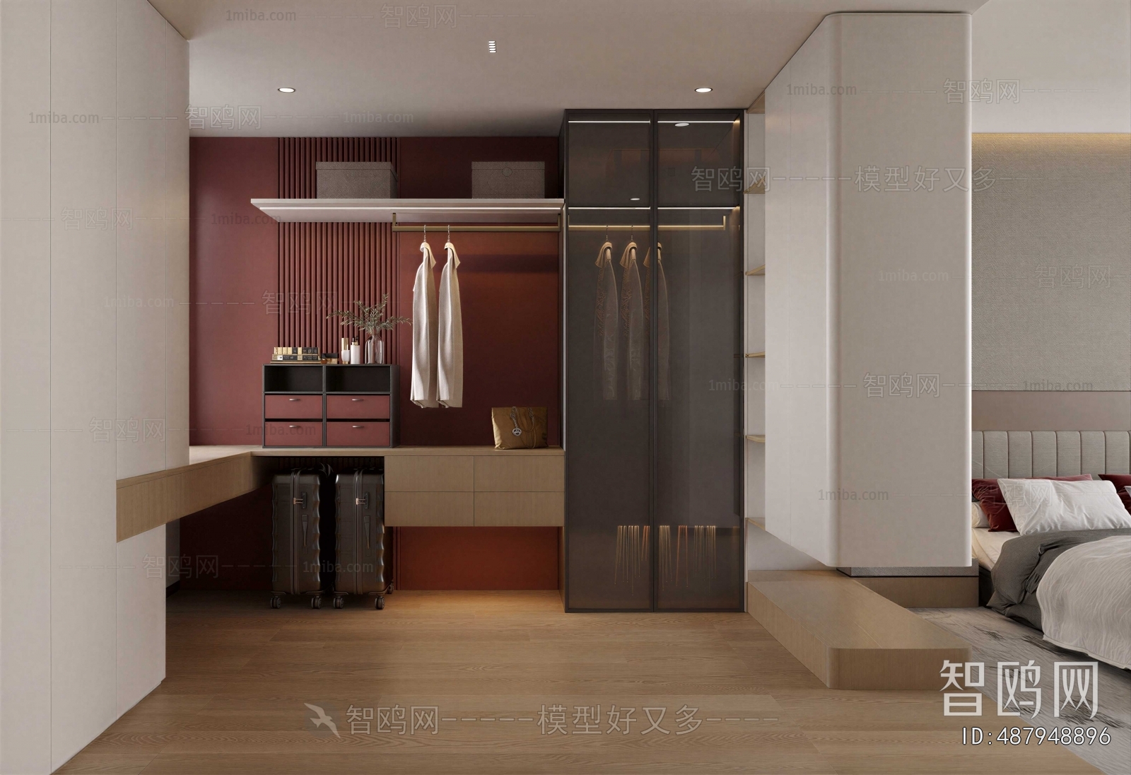 Modern Clothes Storage Area