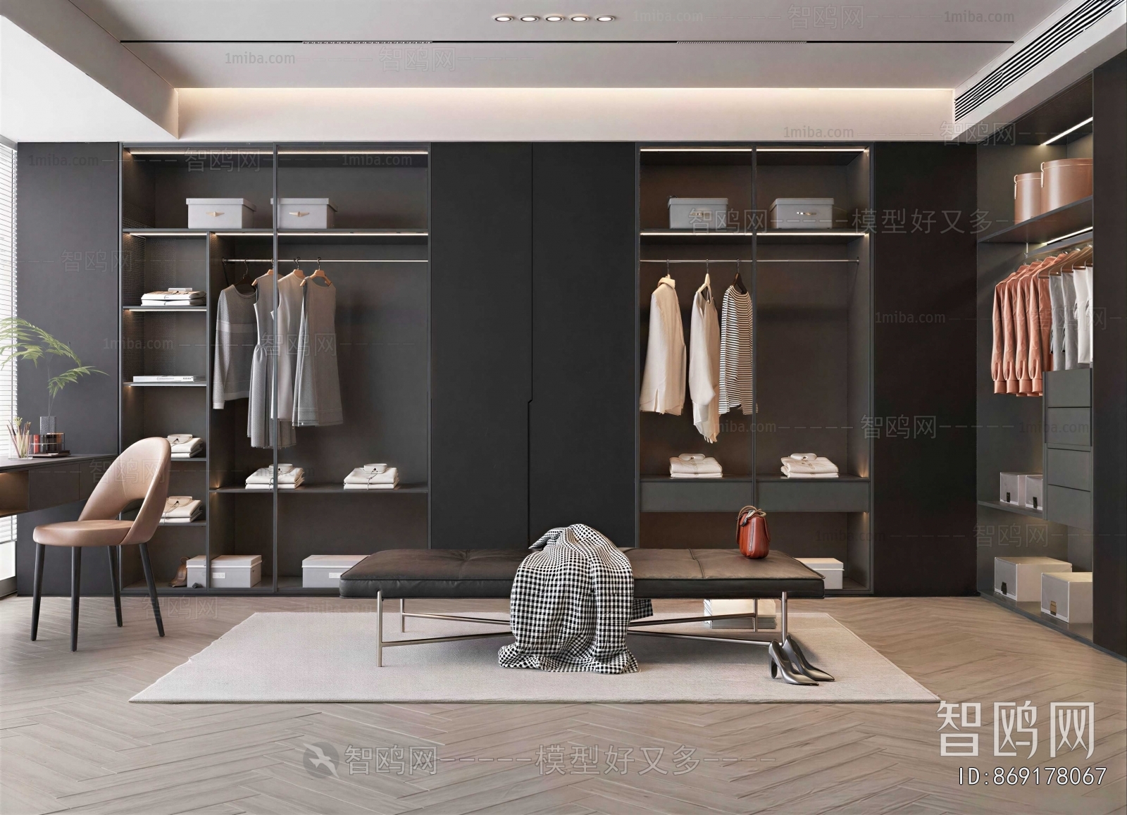 Modern Clothes Storage Area
