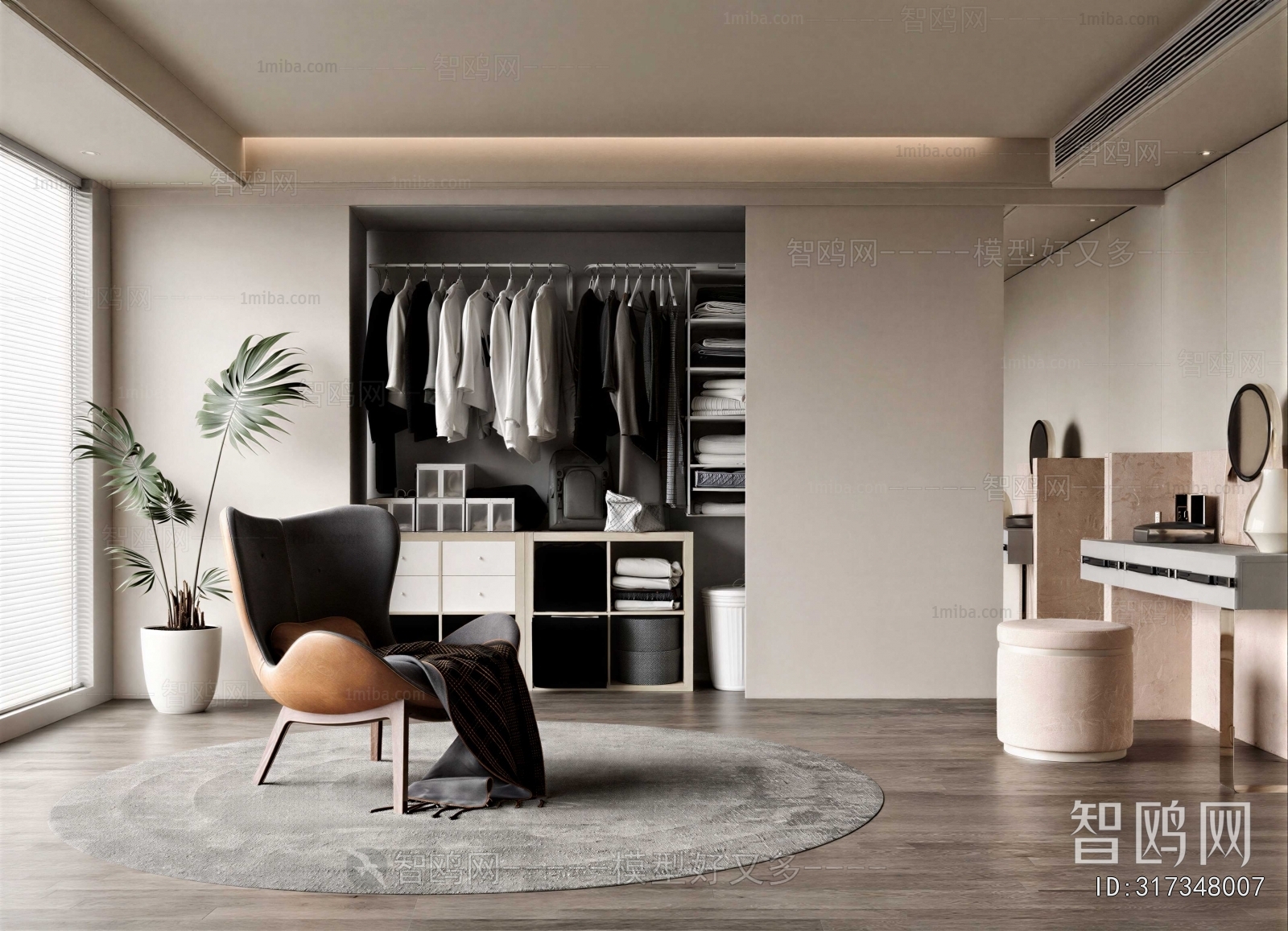 Modern Clothes Storage Area