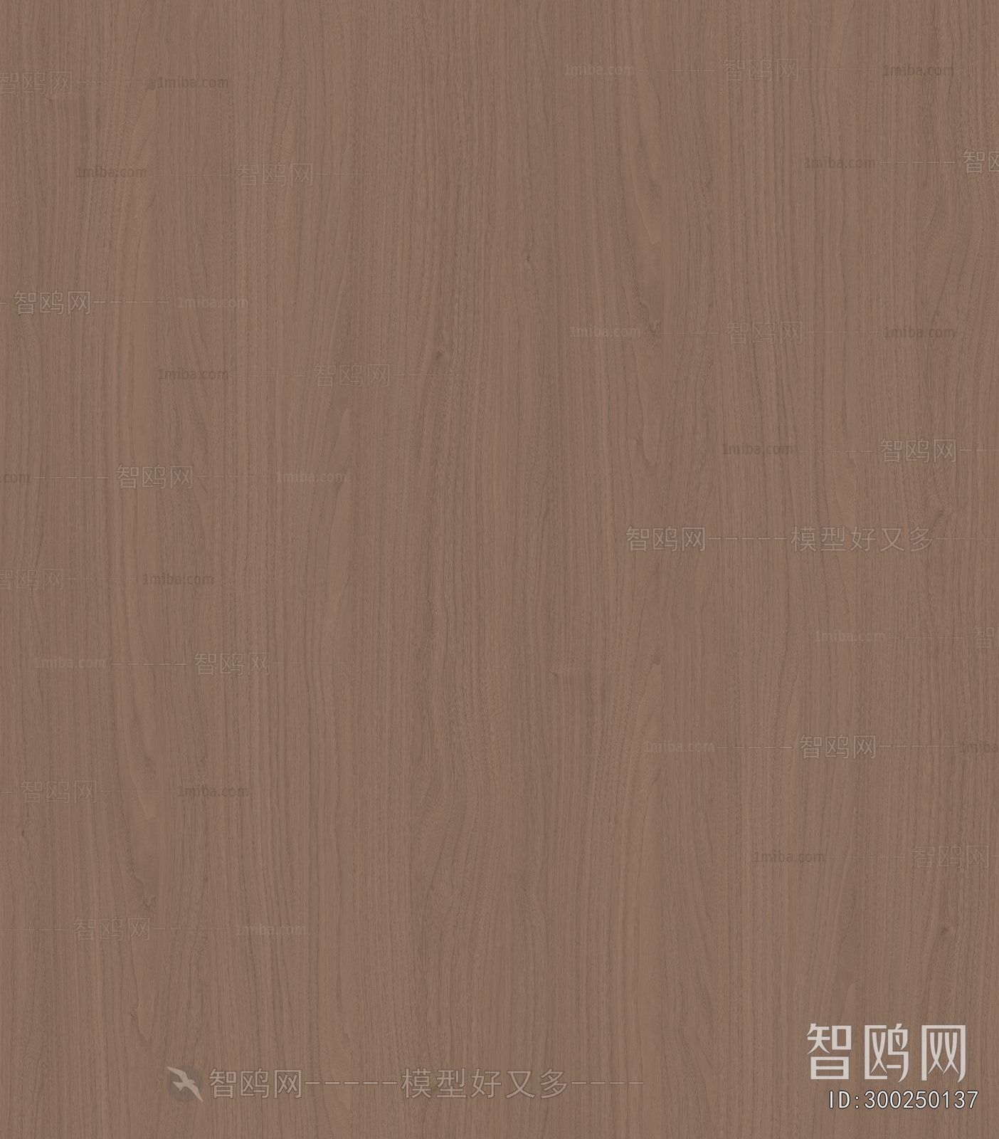 Wood Texture