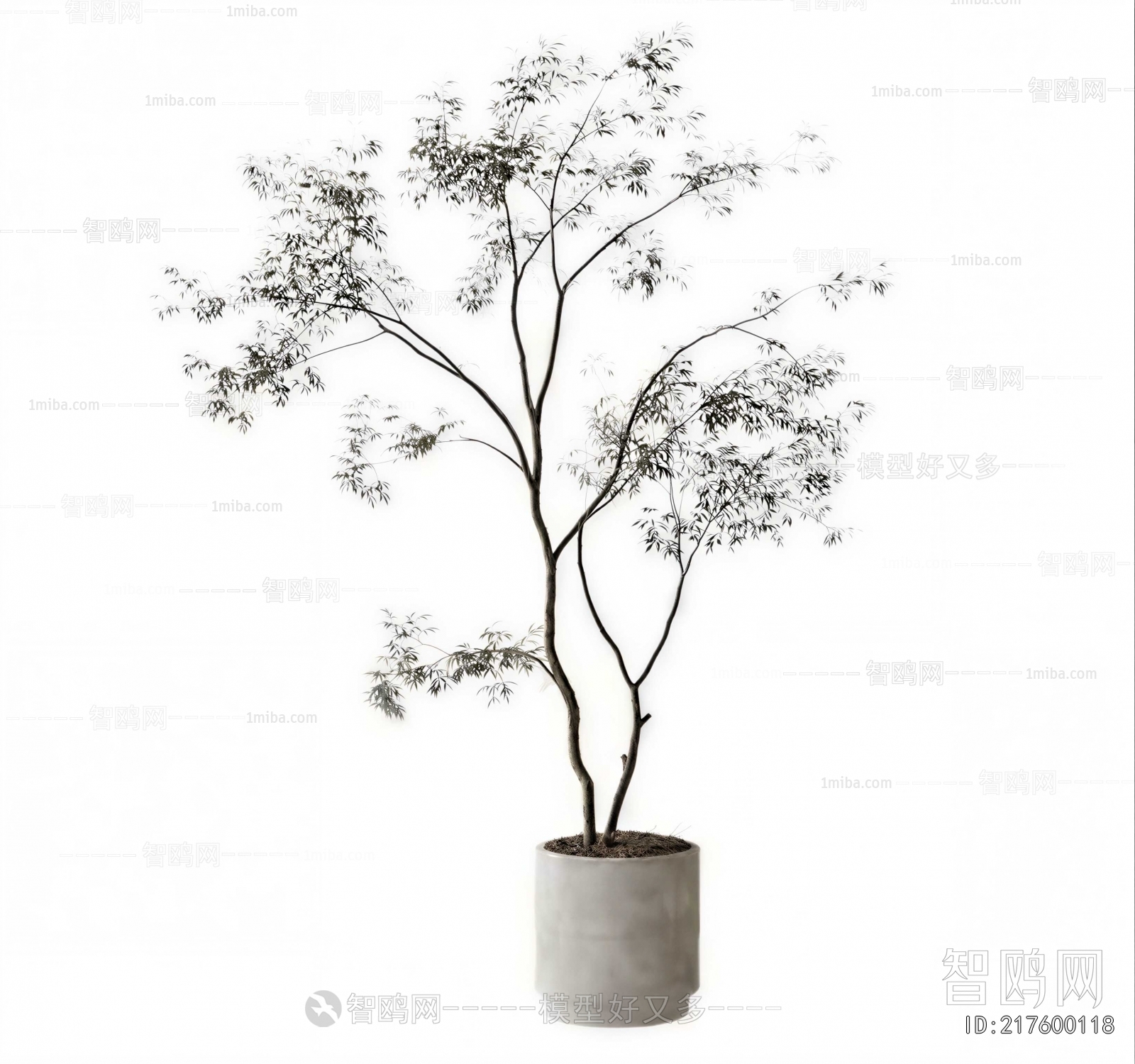 Modern Ground Green Plant Potted Plants