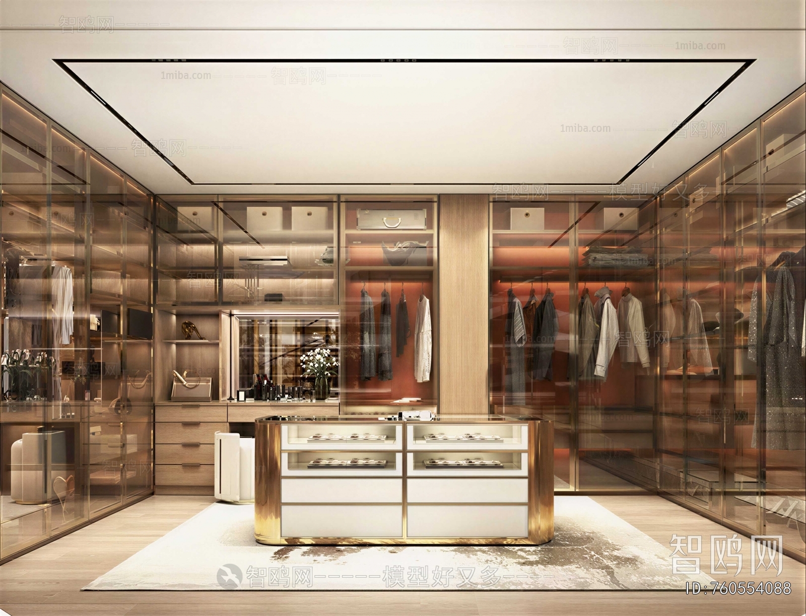 Modern Clothes Storage Area