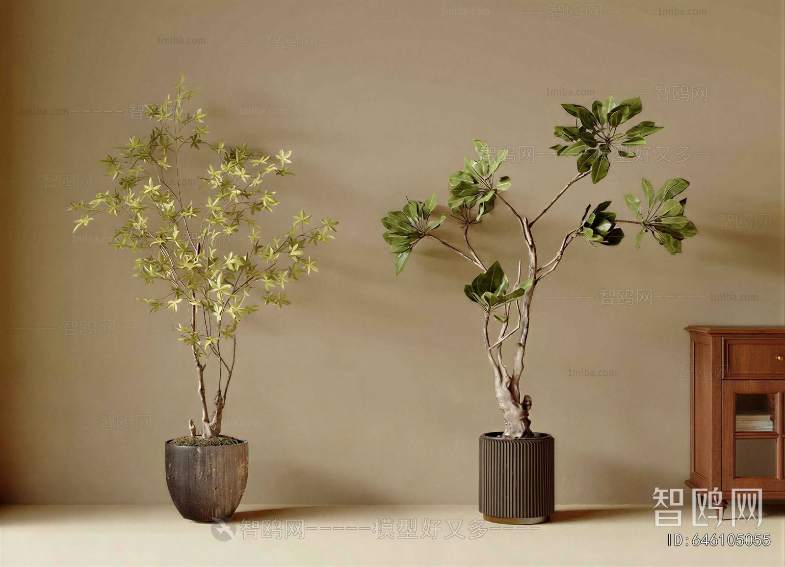 Modern Ground Green Plant Potted Plants