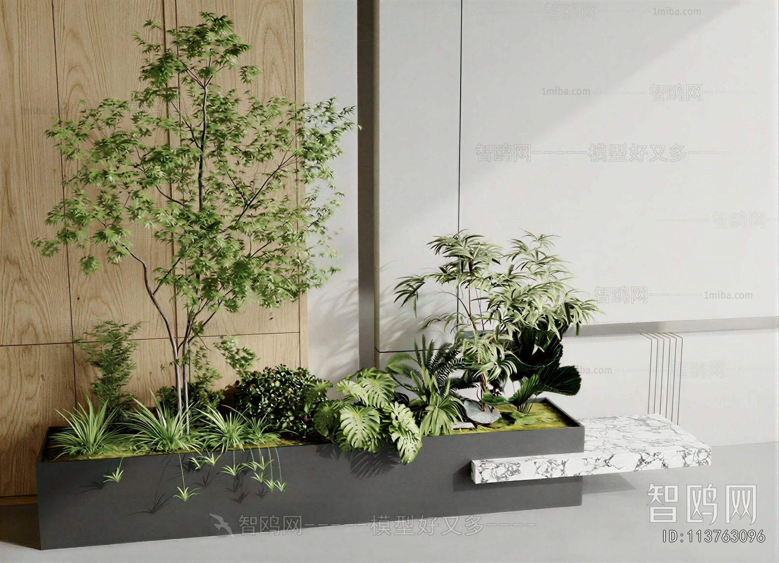 Modern Plant Landscaping