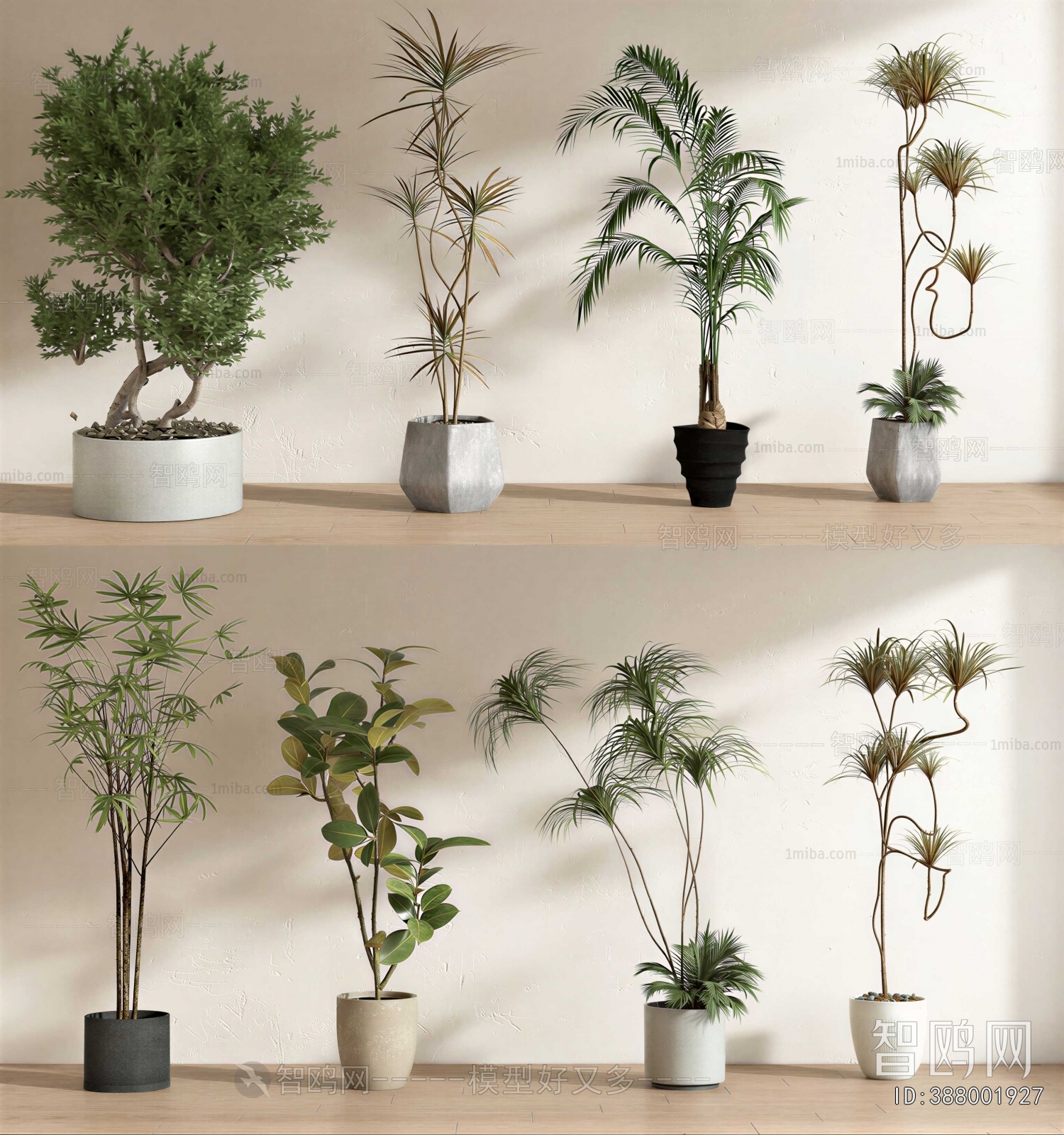 Modern Ground Green Plant Potted Plants