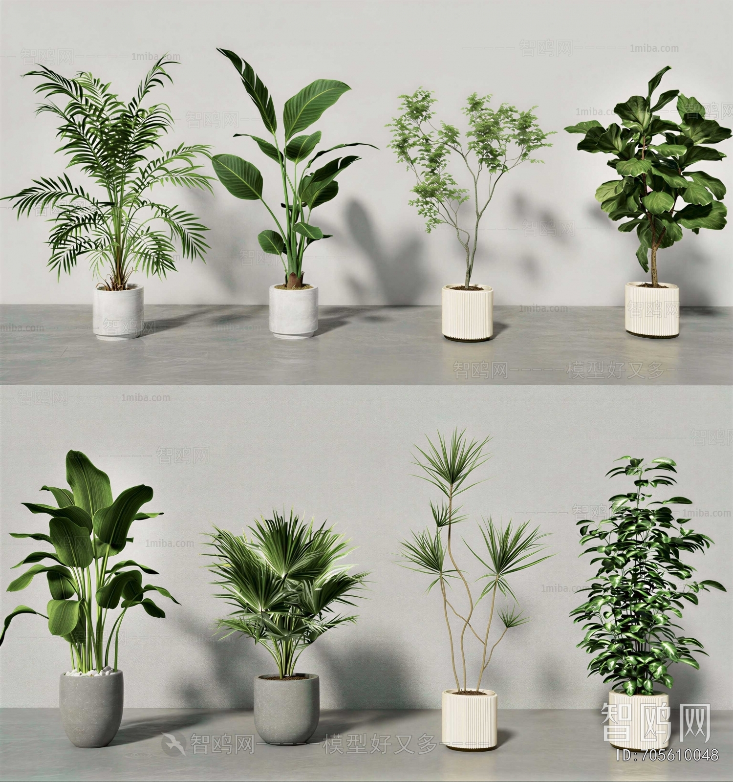 Modern Ground Green Plant Potted Plants
