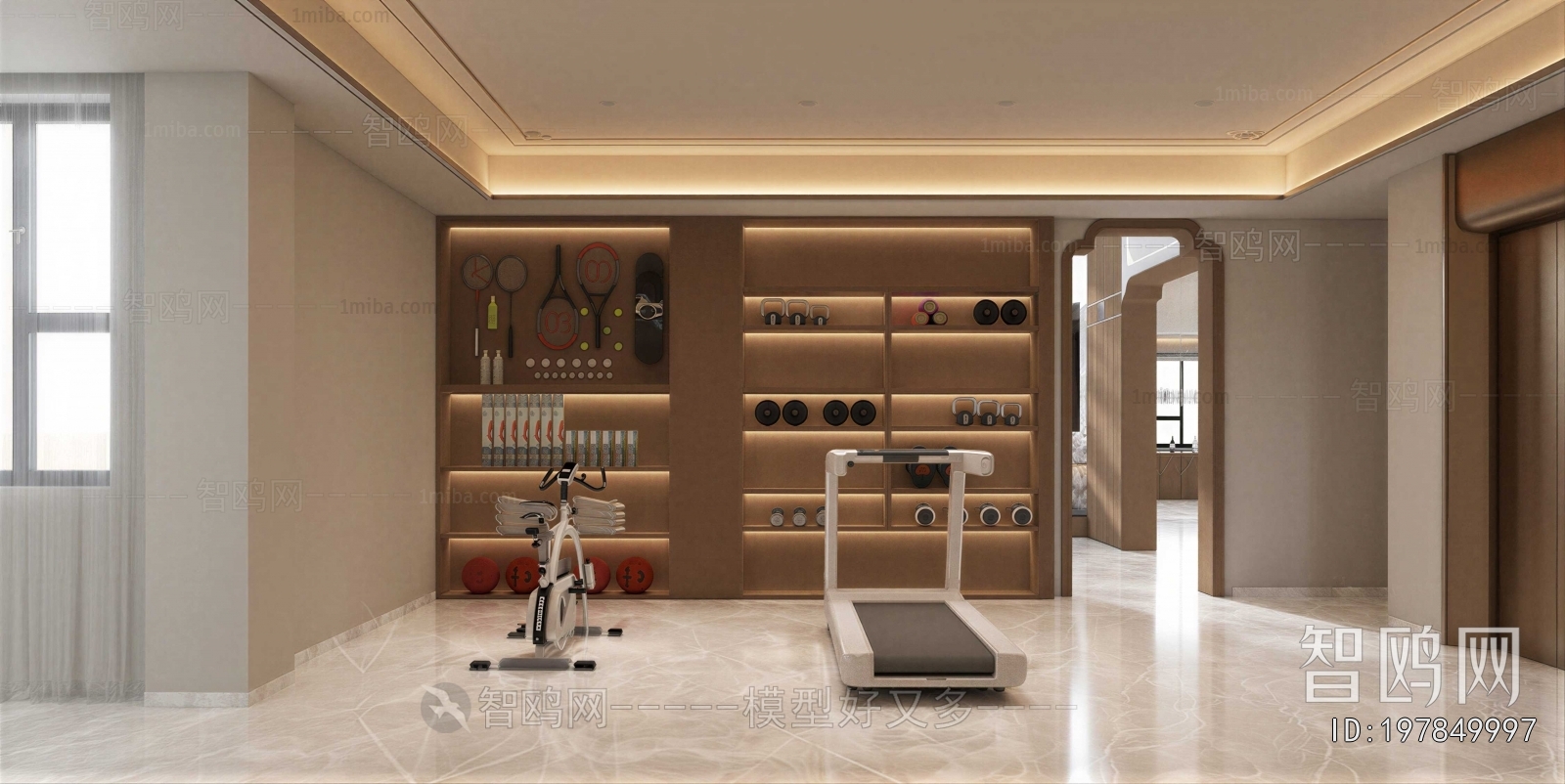 Modern Home Fitness Room