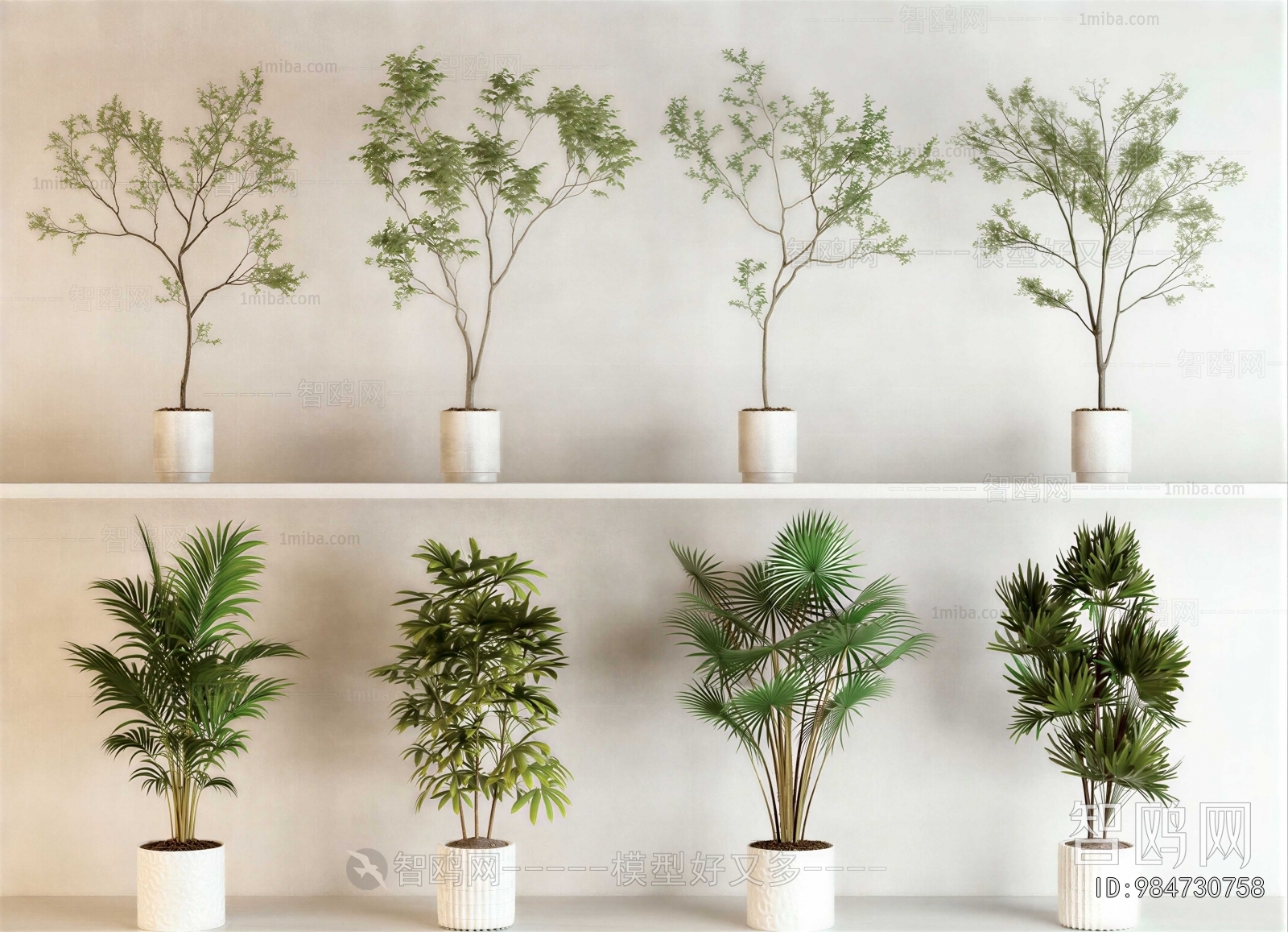 Modern Ground Green Plant Potted Plants