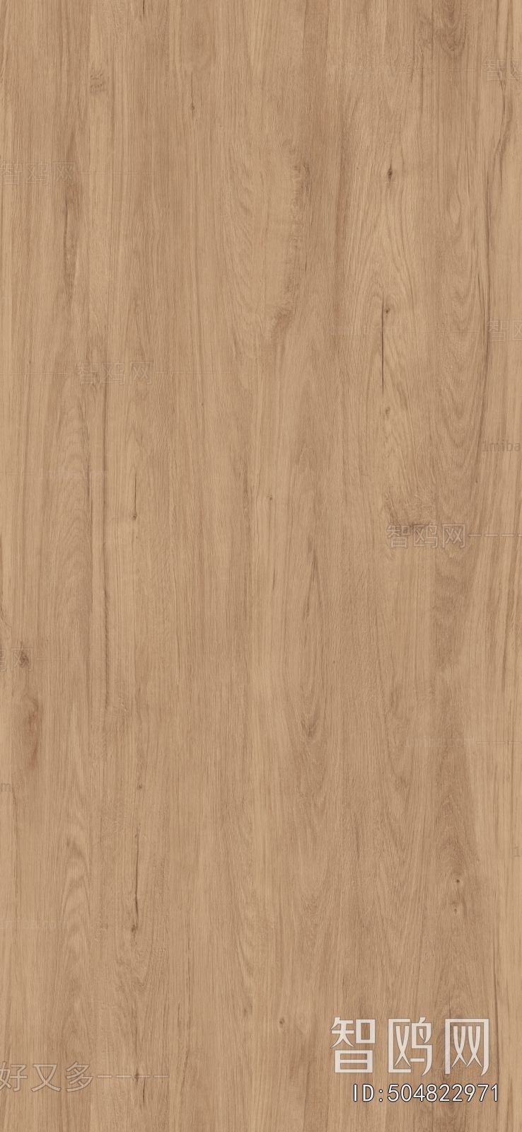 Wood Texture
